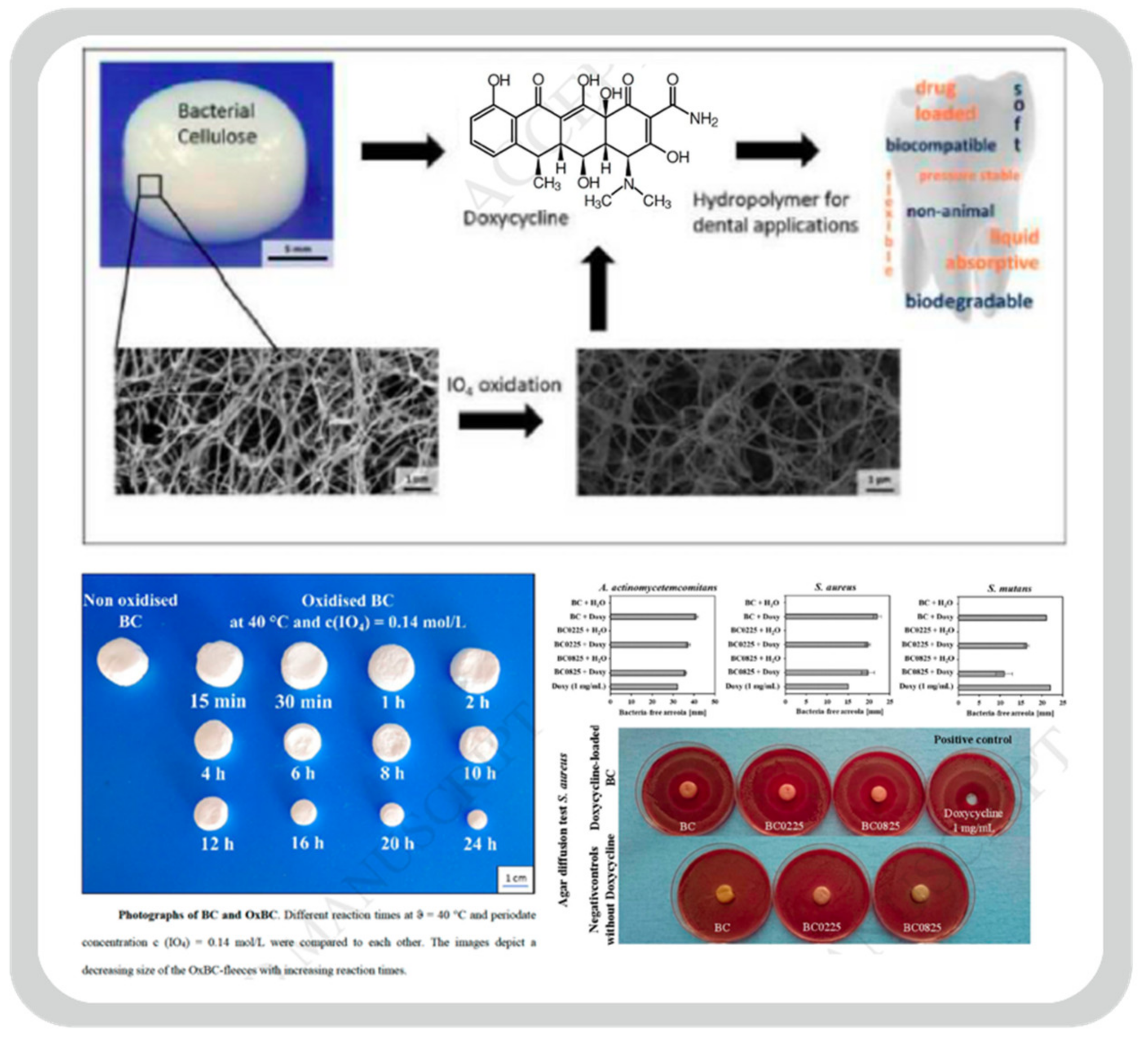 Bioengineering 09 00003 g007