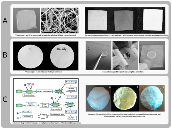 Membrane Technological Pathways and Inherent Structure of