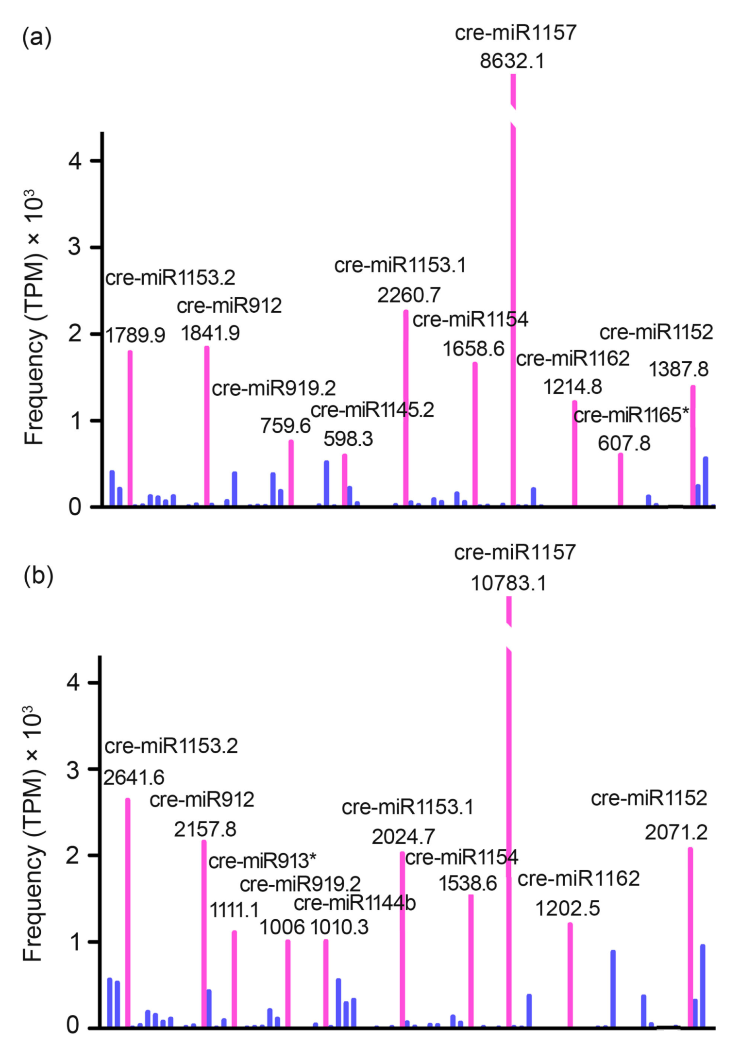 Bioengineering 09 00006 g004 Bioengineering 09 00006 g004