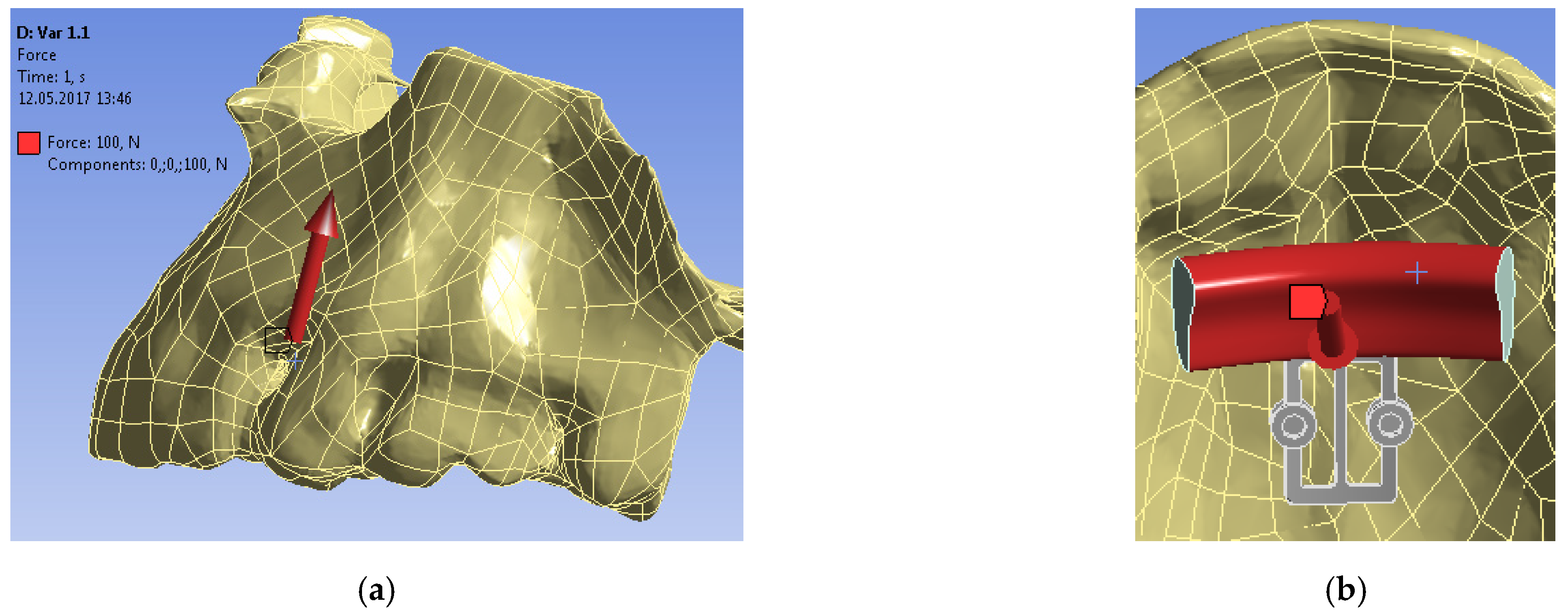 Bioengineering 09 00012 g004 550