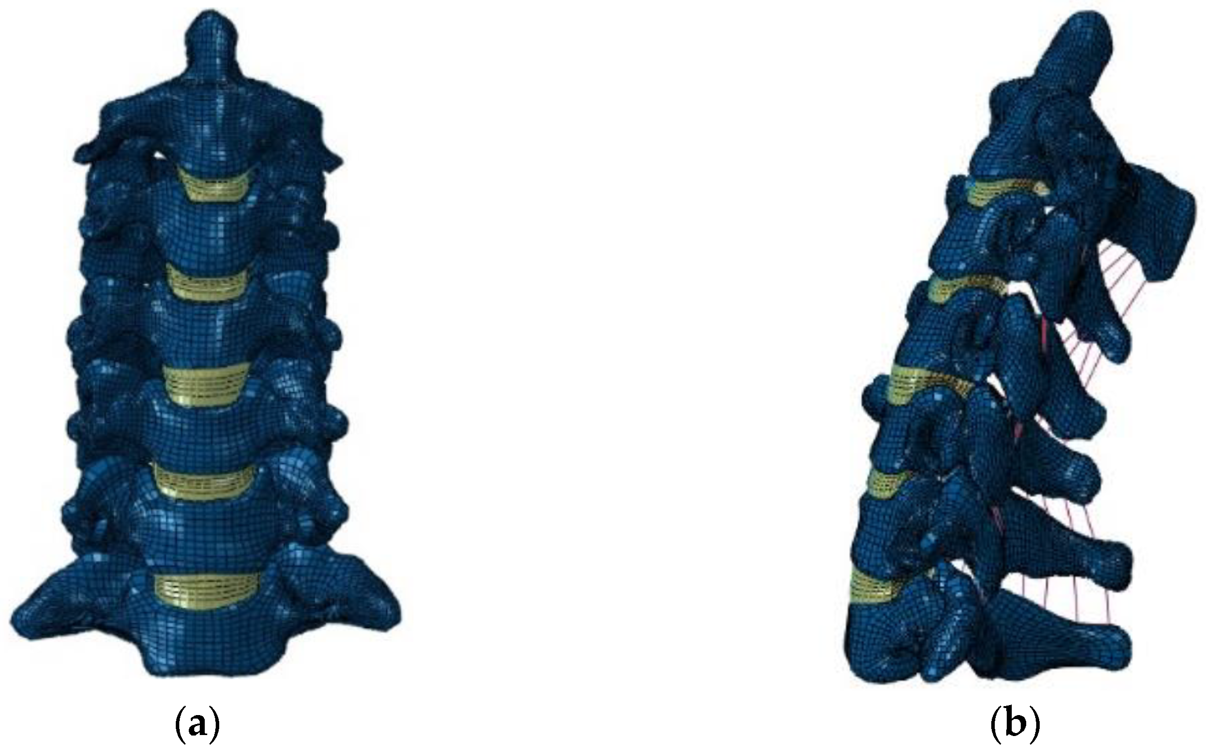 Bioengineering 09 00016 g001