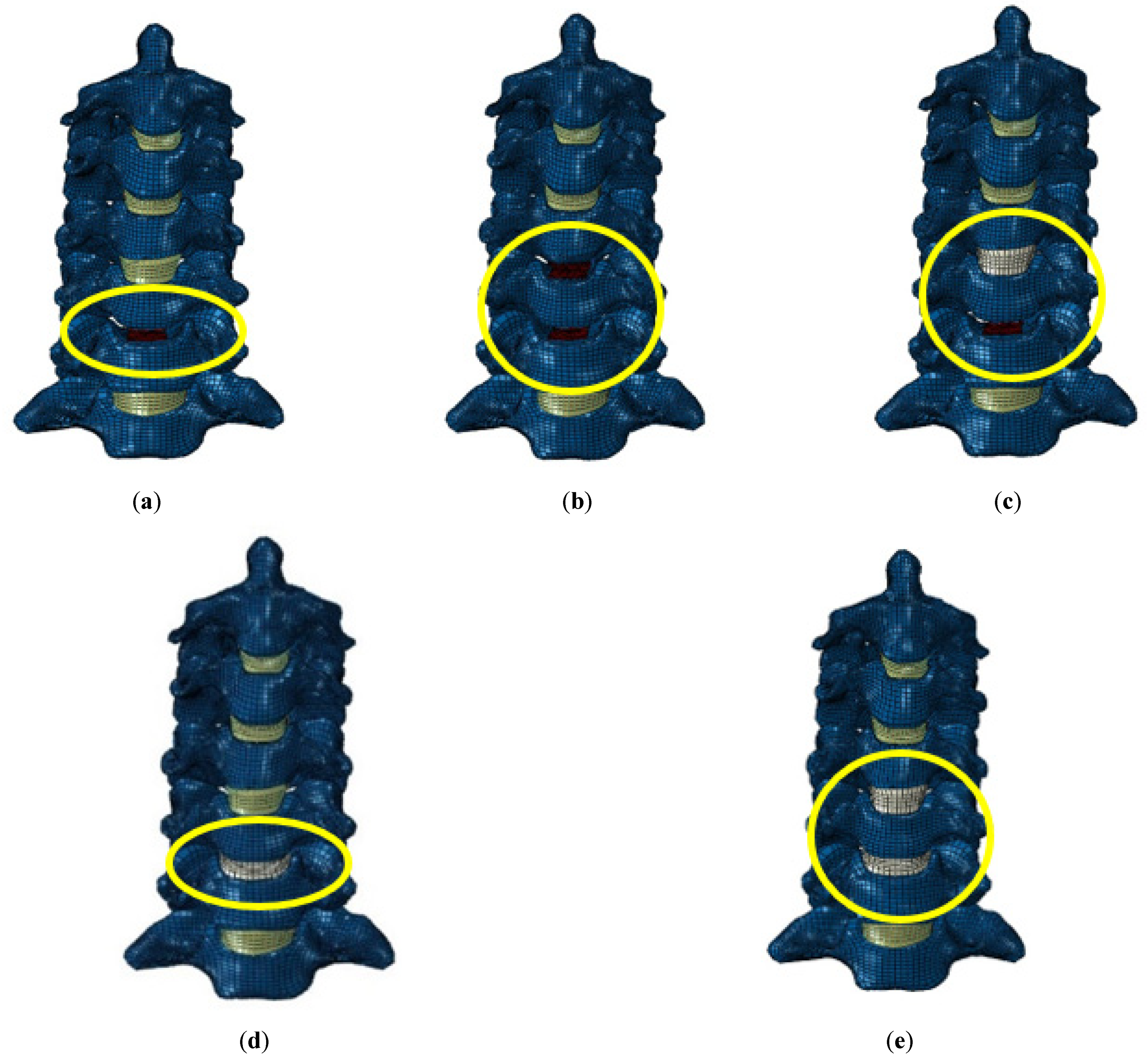 Bioengineering 09 00016 g002
