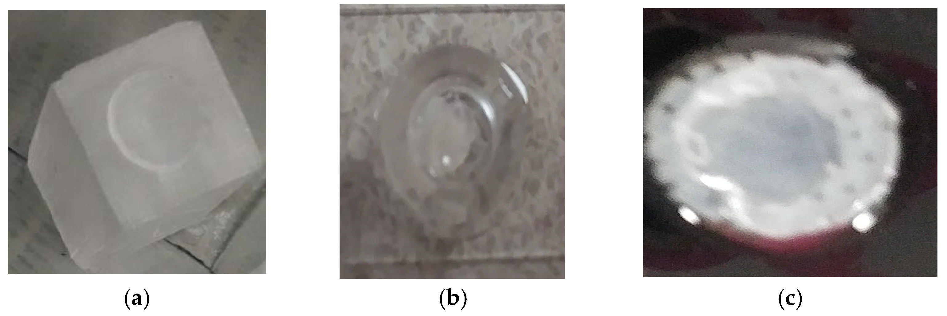 Bioengineering 09 00019 g003