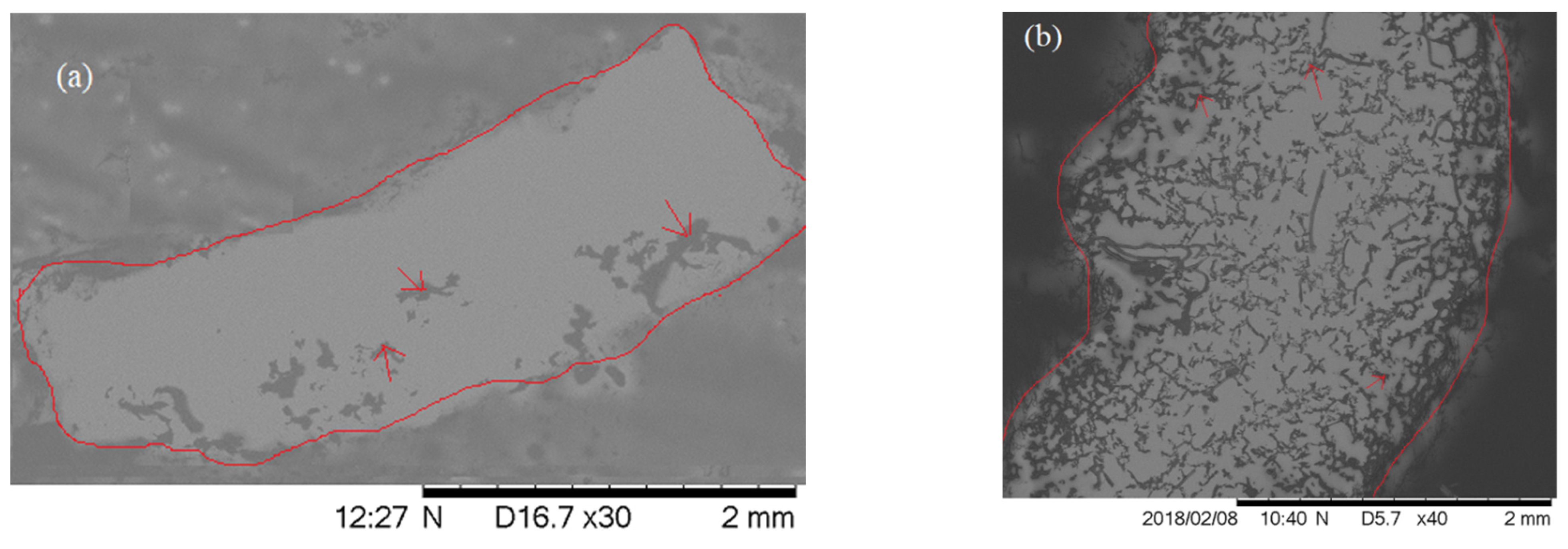 Bioengineering 09 00019 g006