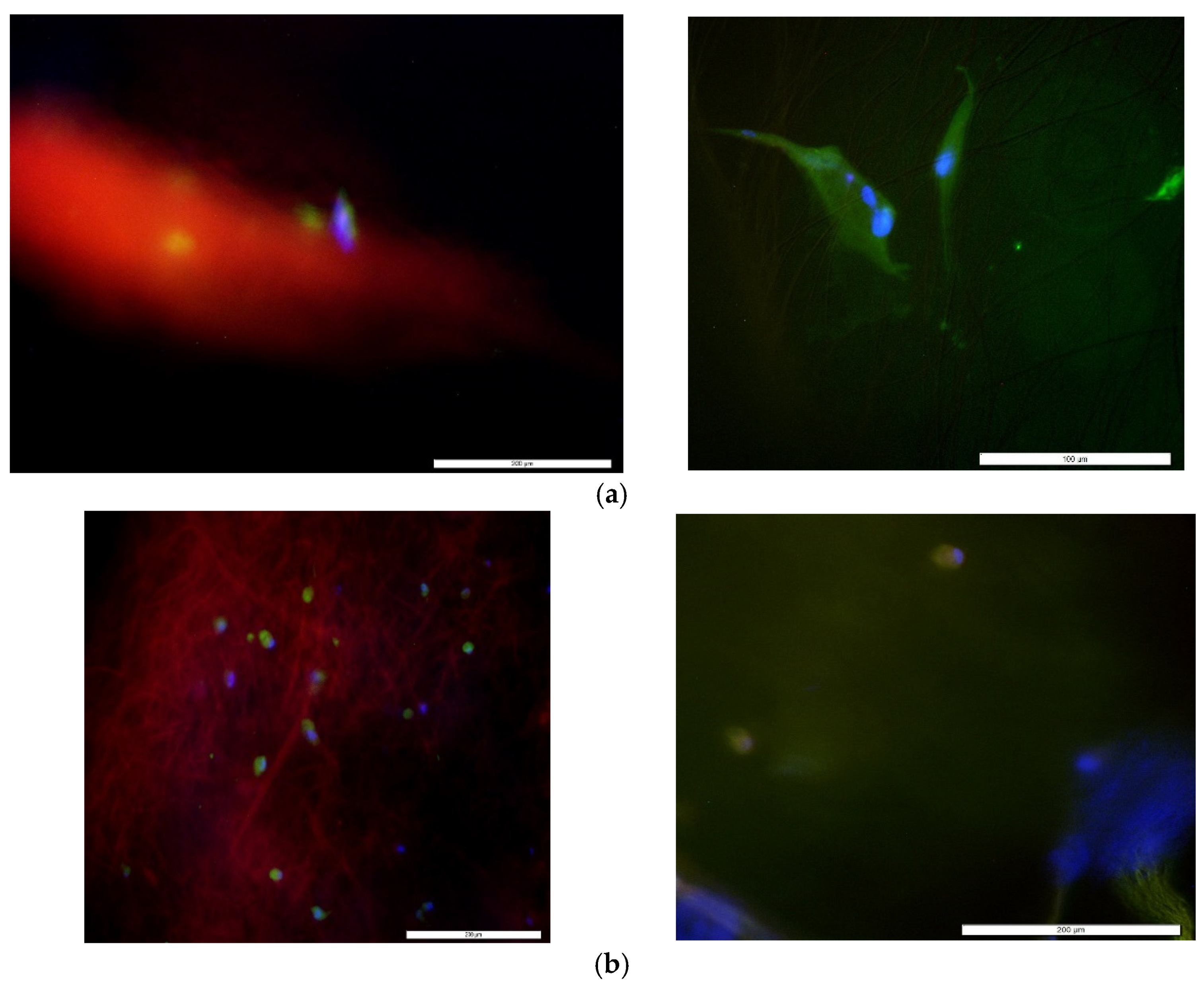 Bioengineering 09 00019 g009a