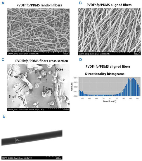 Impact of Electrospun Piezoelectric Core–Shell PVDFhfp/PDMS