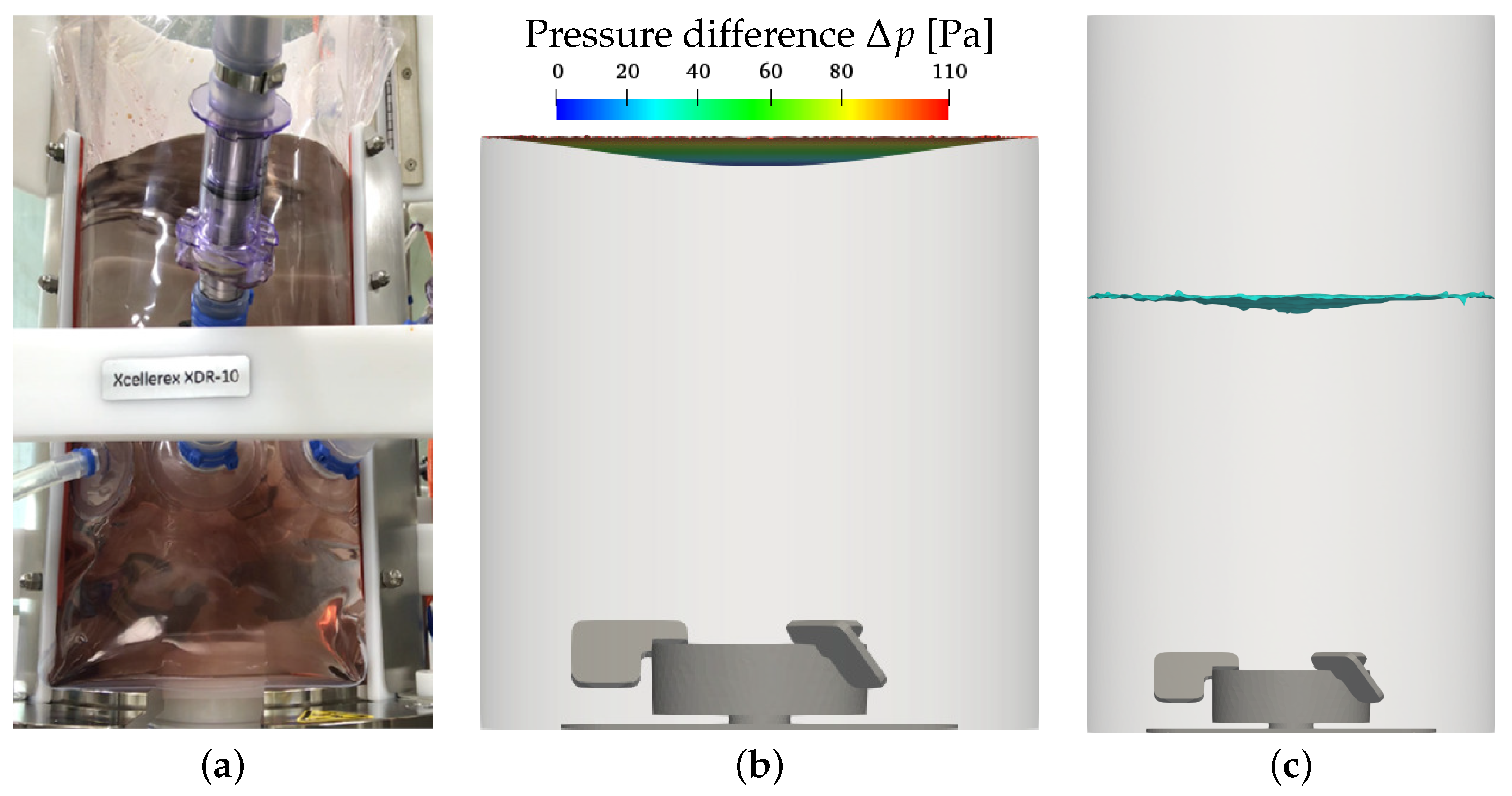 Bioengineering 09 00022 g005