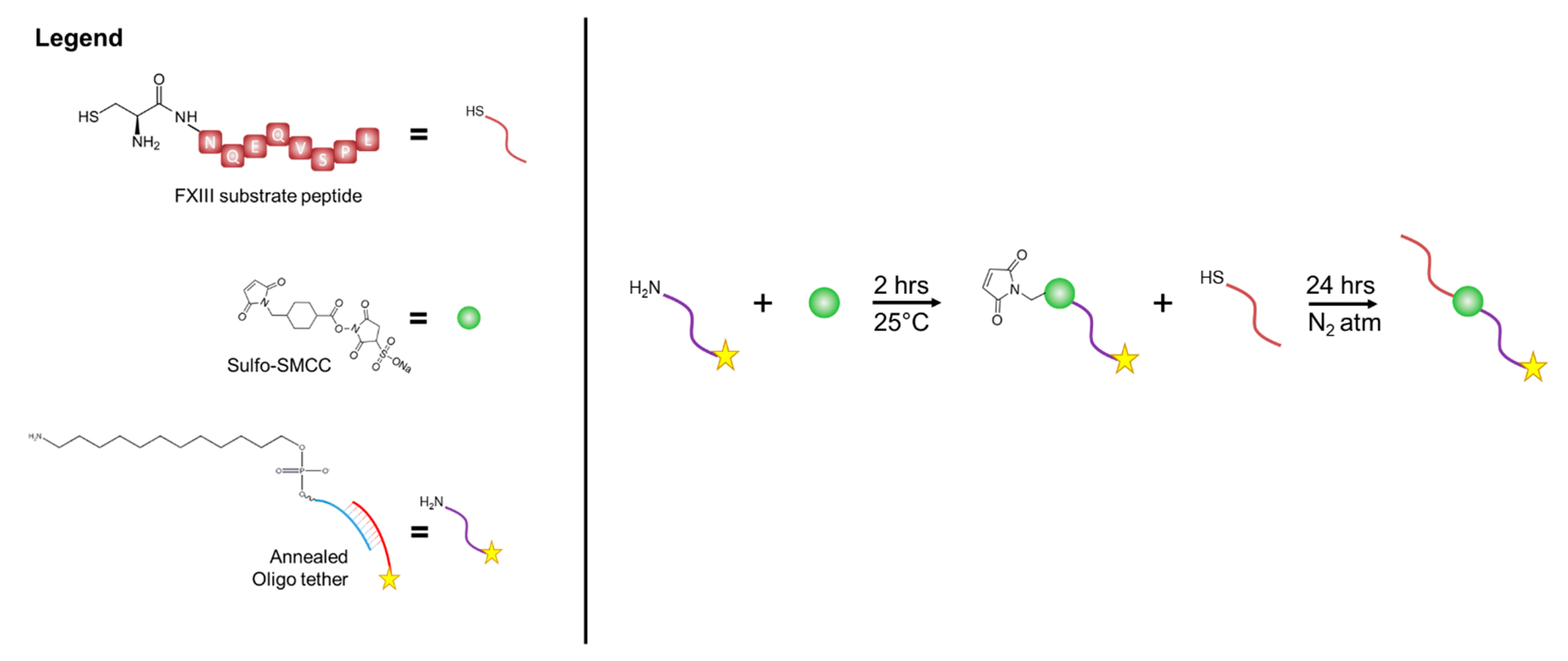 Bioengineering 09 00025 g001