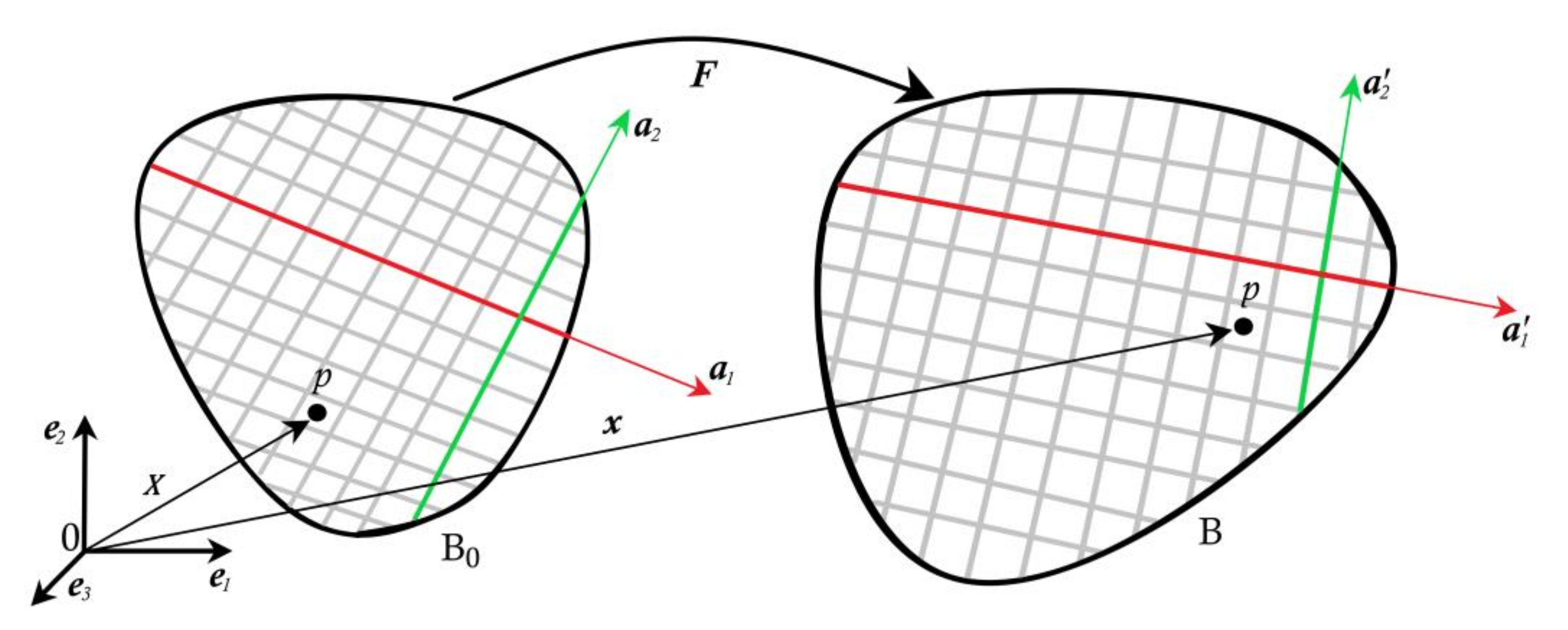 Bioengineering 09 00026 g003