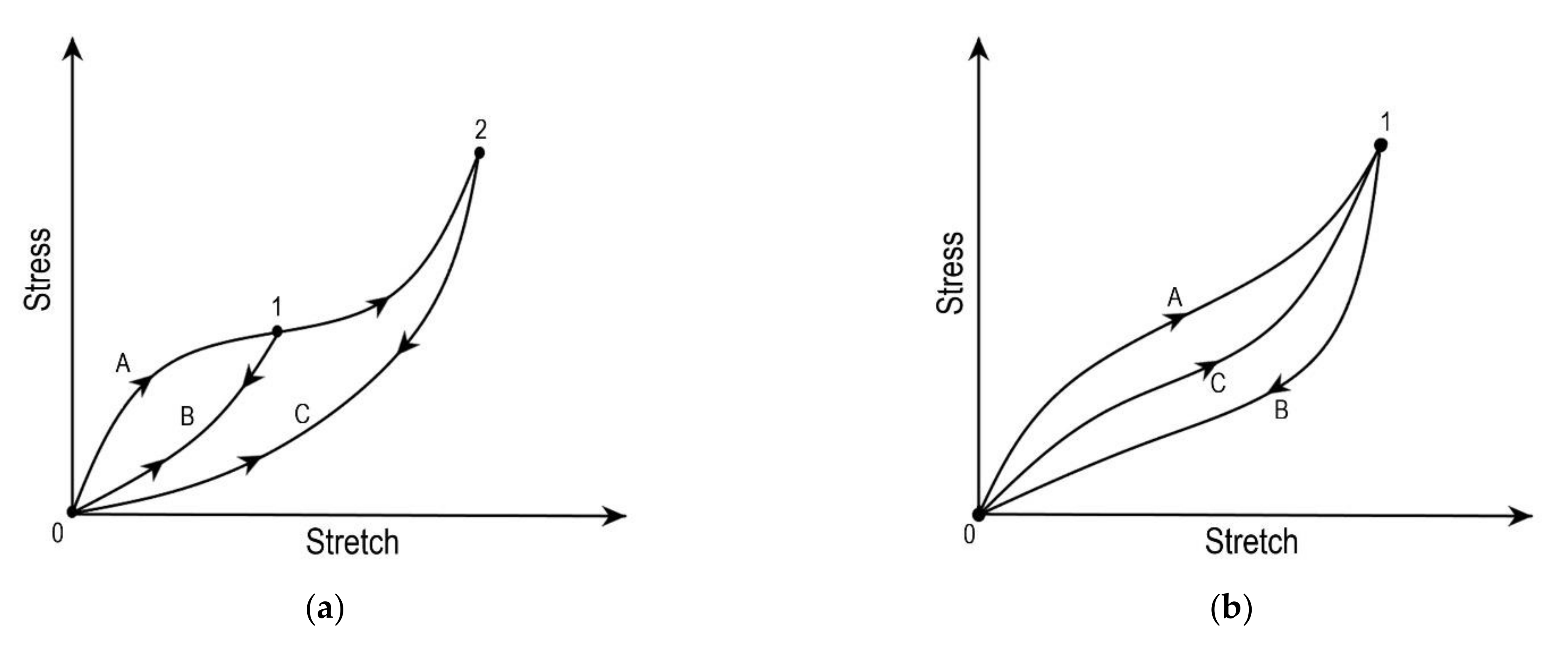 Bioengineering 09 00026 g004