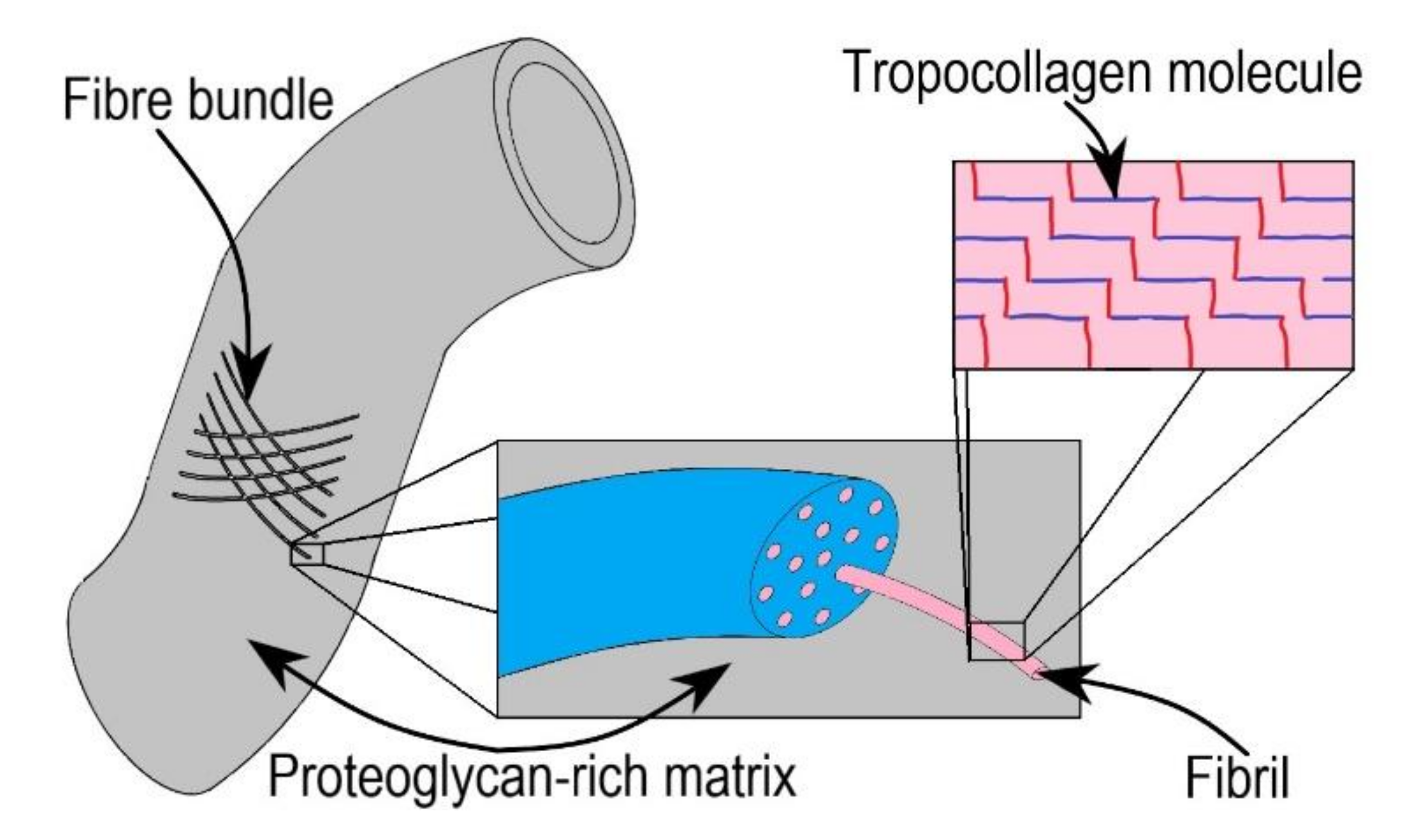 Bioengineering 09 00026 g005