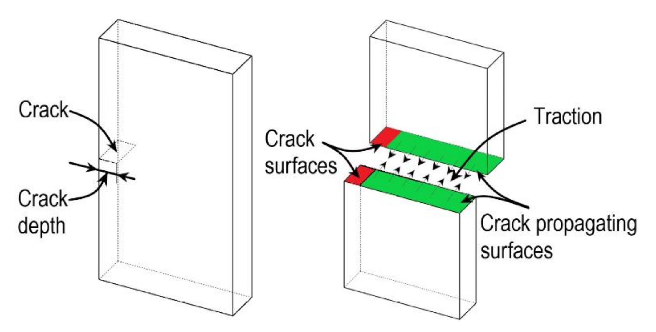 Bioengineering 09 00026 g007