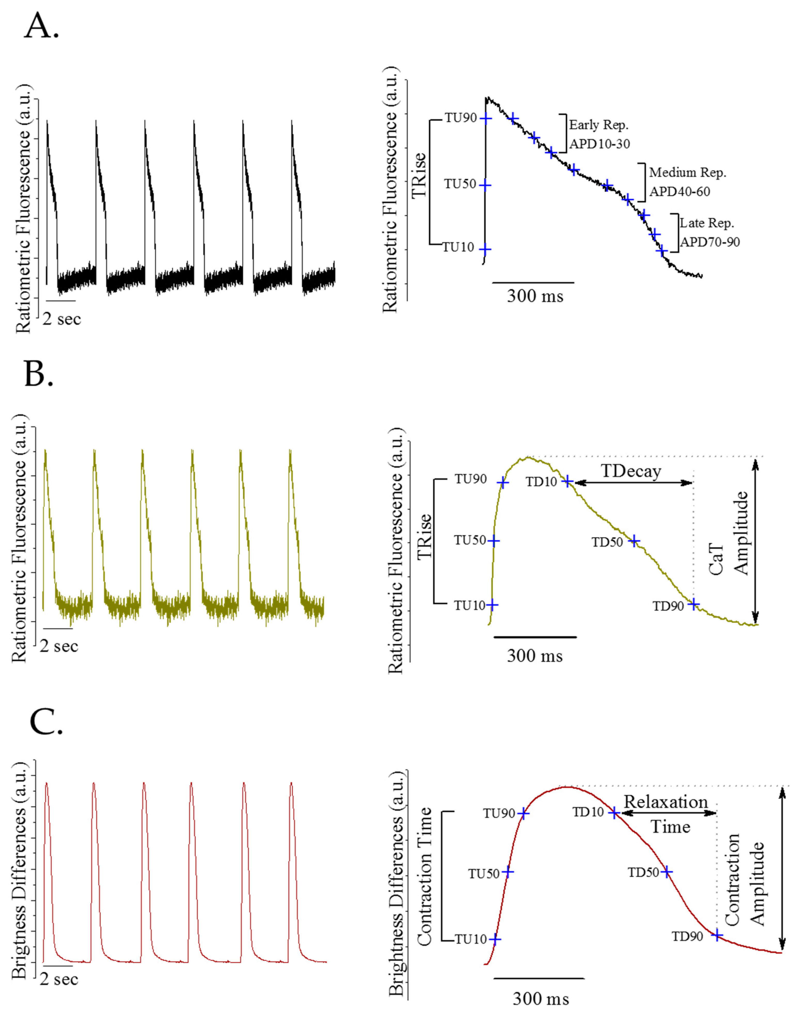 Bioengineering 09 00032 g003 550