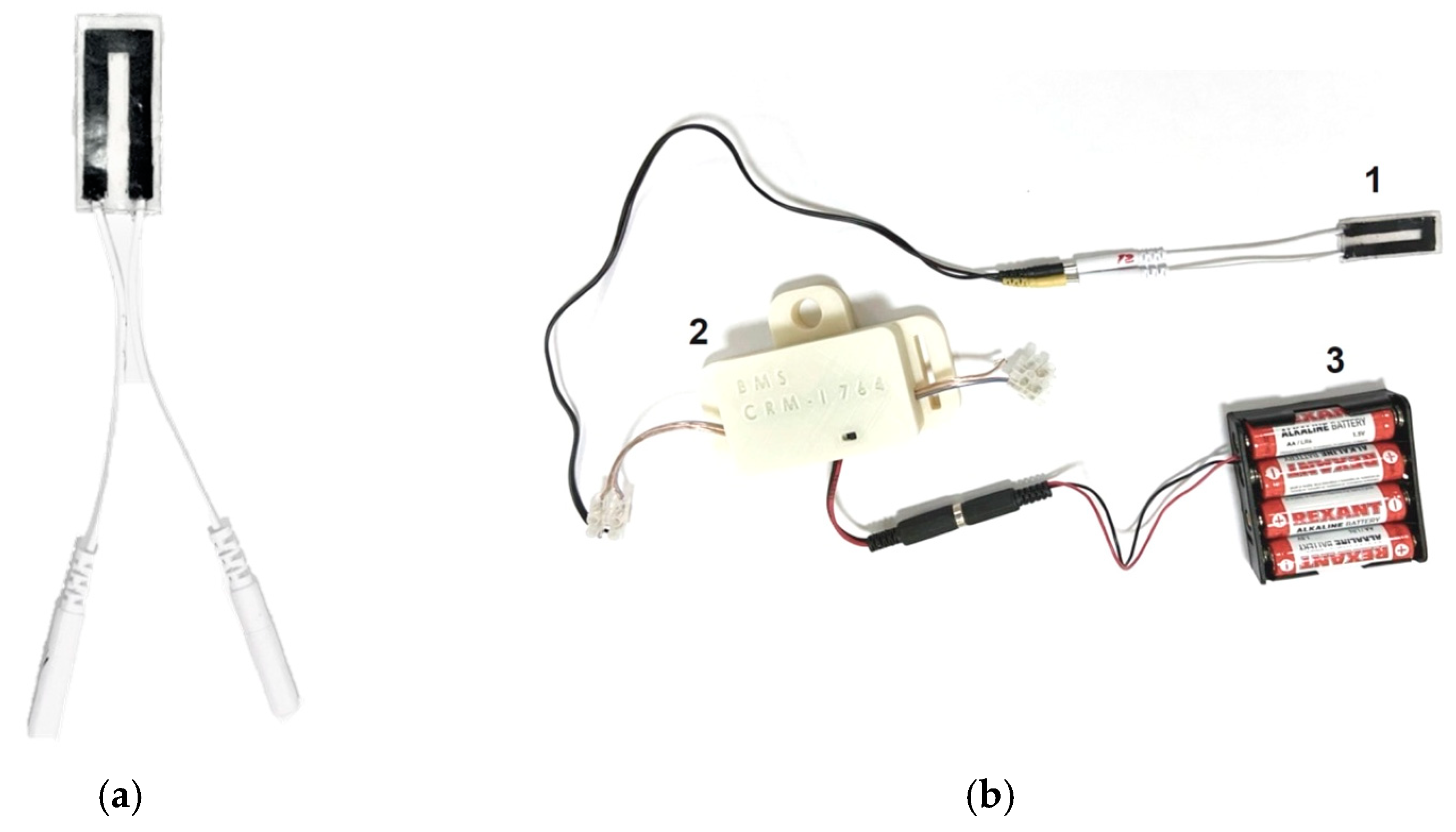 Bioengineering 09 00036 g004 550