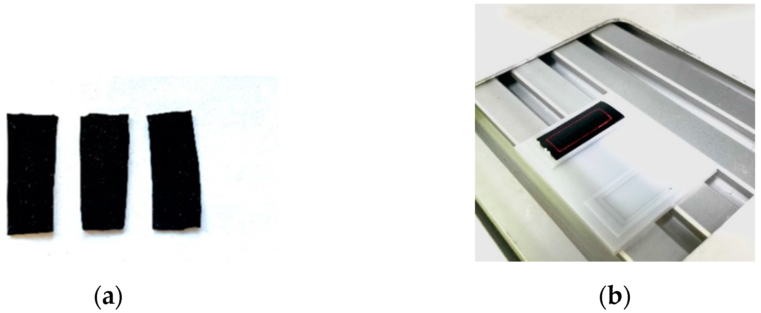 Bioengineering 09 00036 g006 550