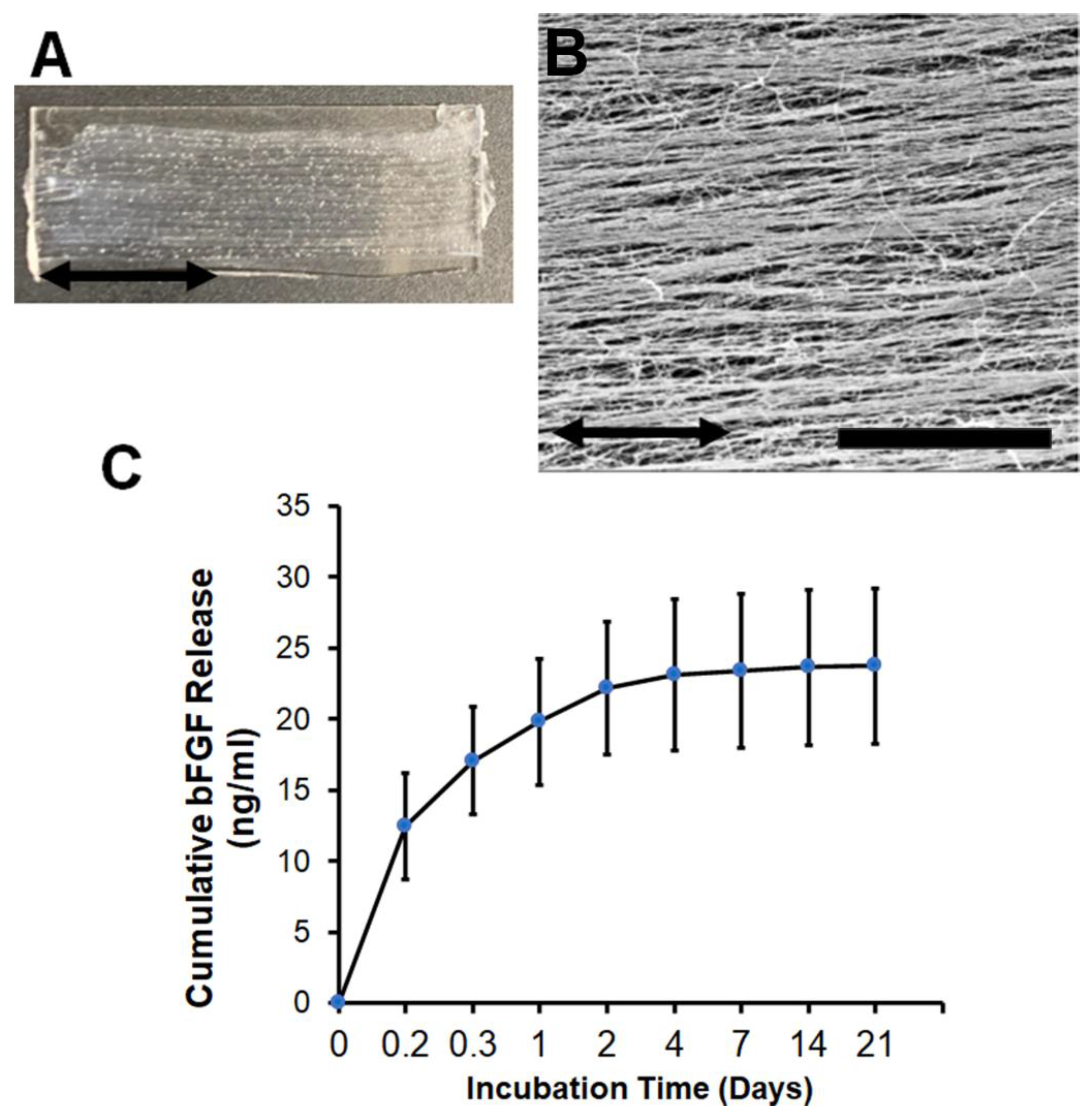 Bioengineering 09 00037 g001 550
