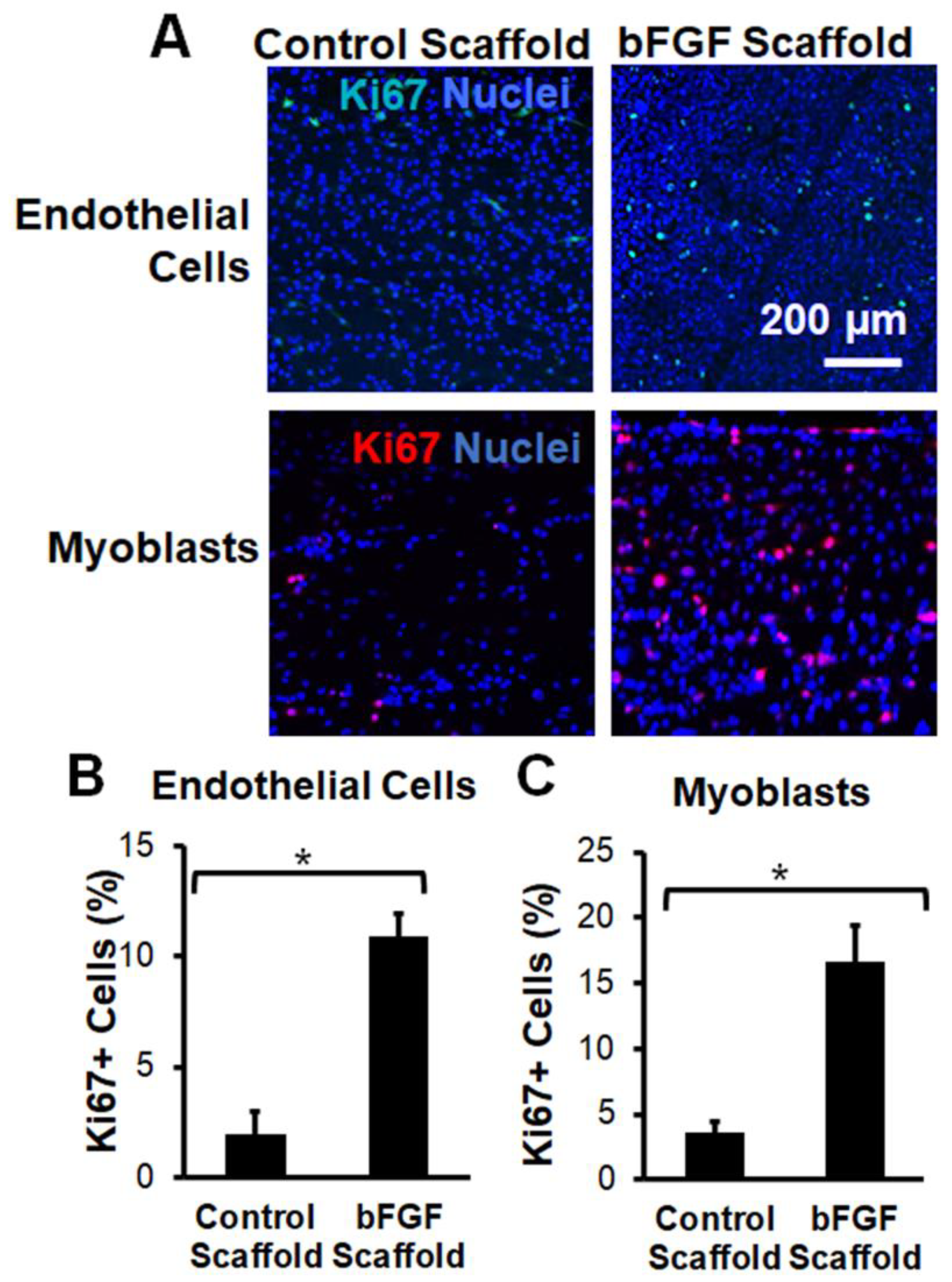 Bioengineering 09 00037 g002 550