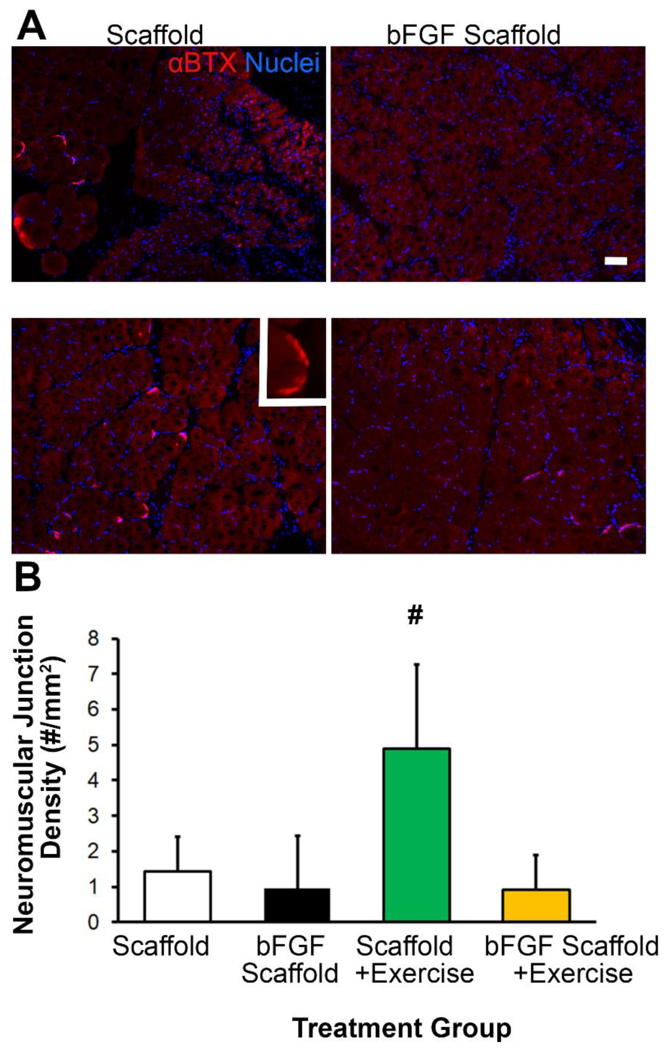 Bioengineering 09 00037 g006 550