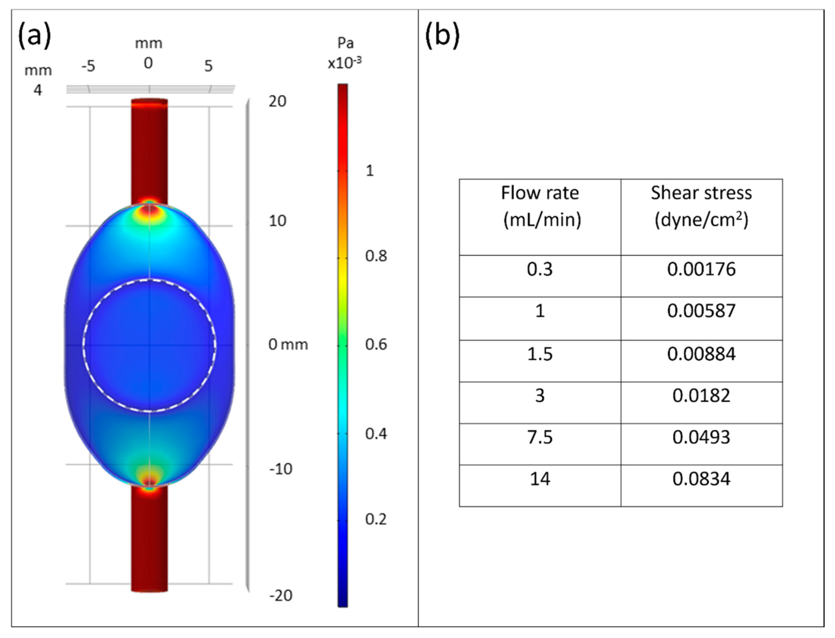 Bioengineering 09 00039 g002 550