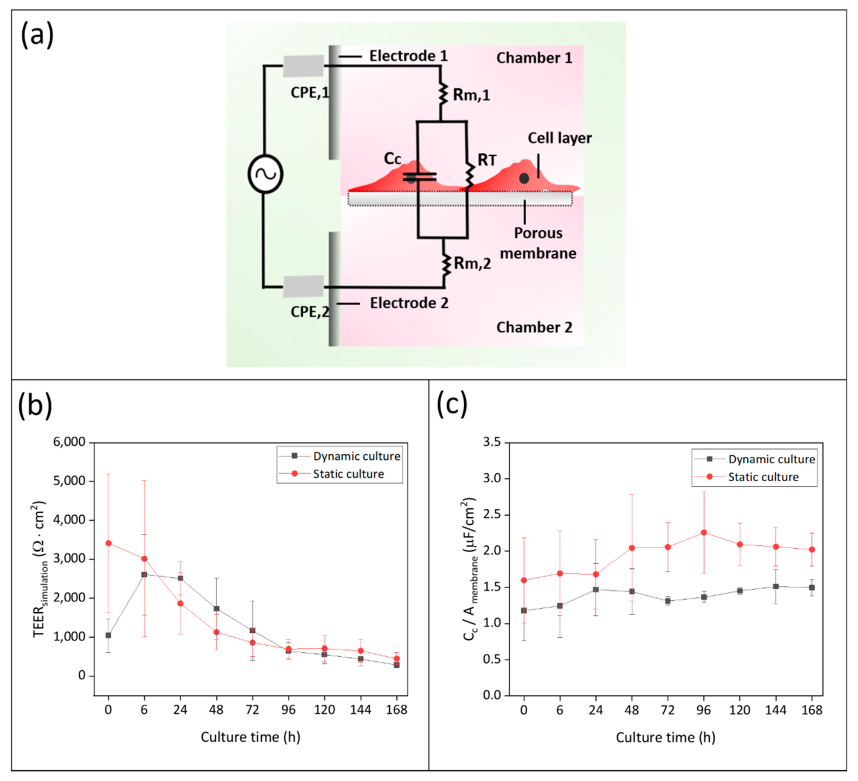 Bioengineering 09 00039 g006 550