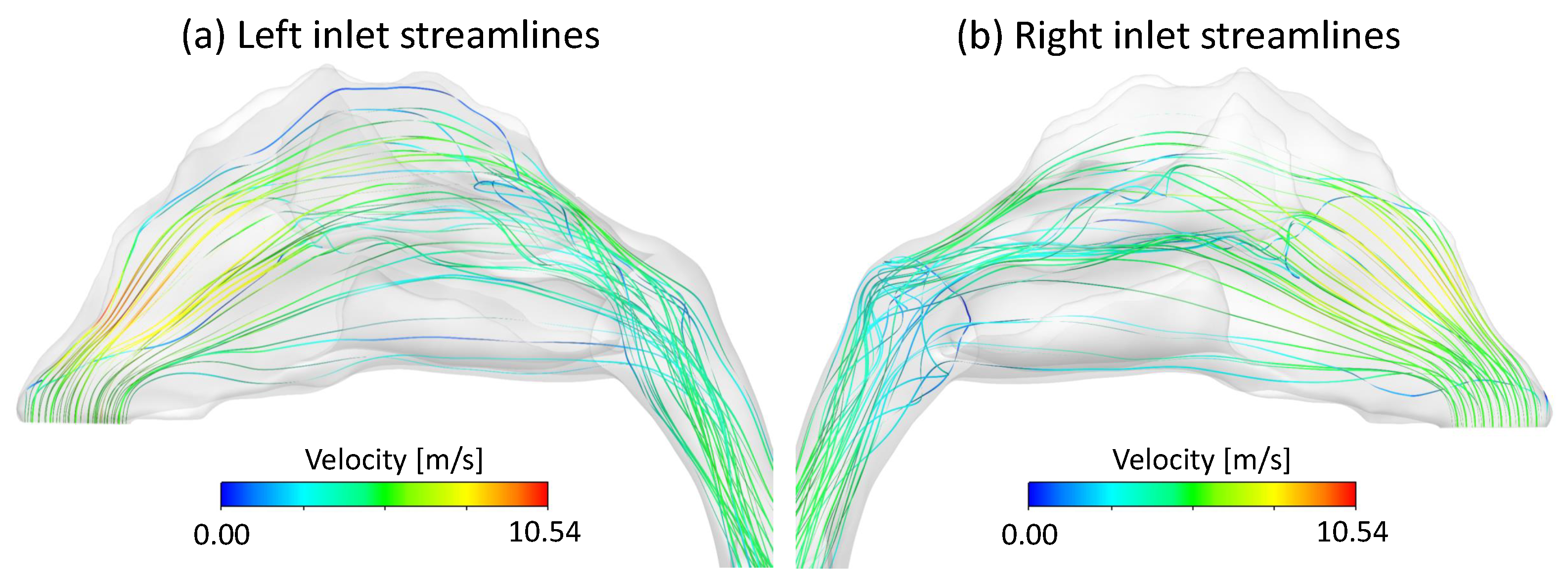 Bioengineering 09 00040 g003 550