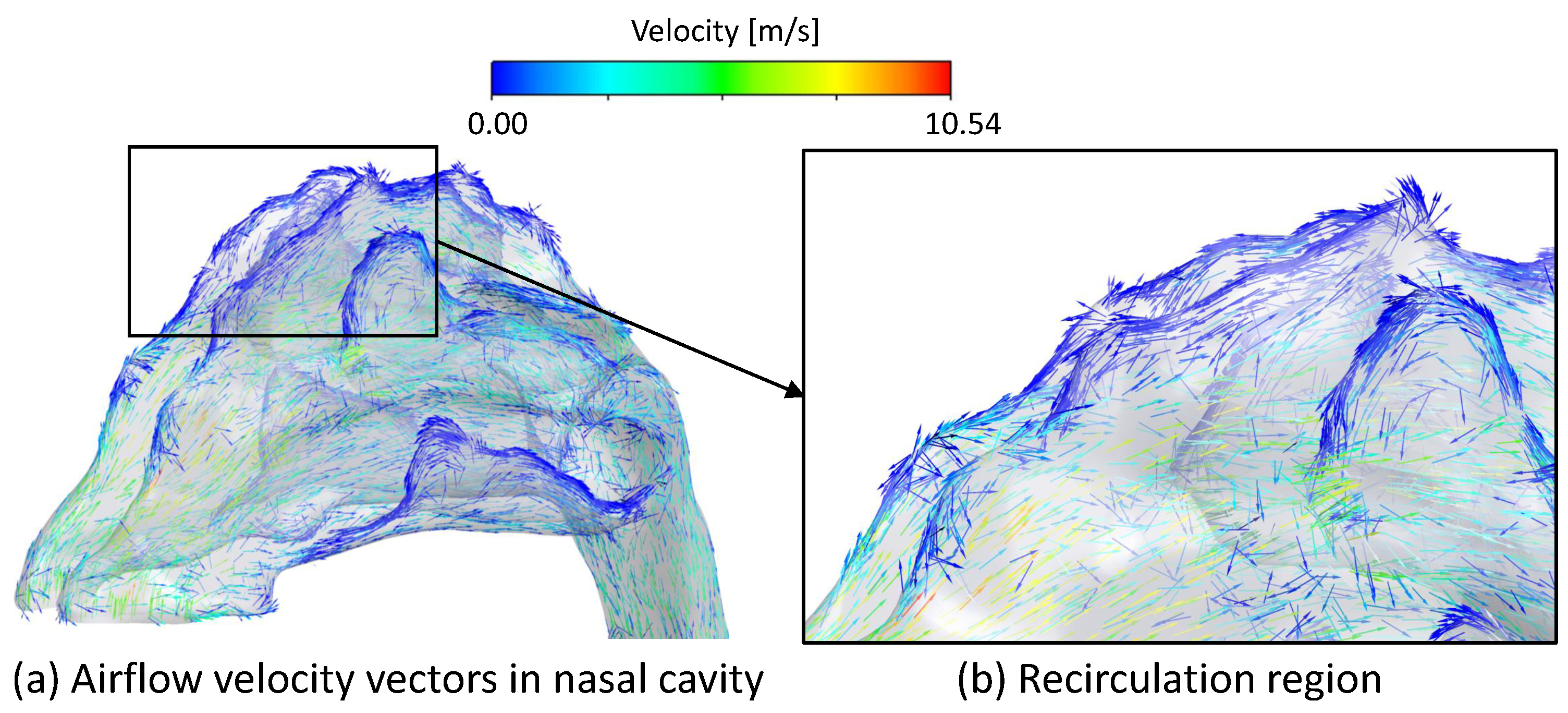 Bioengineering 09 00040 g004 550