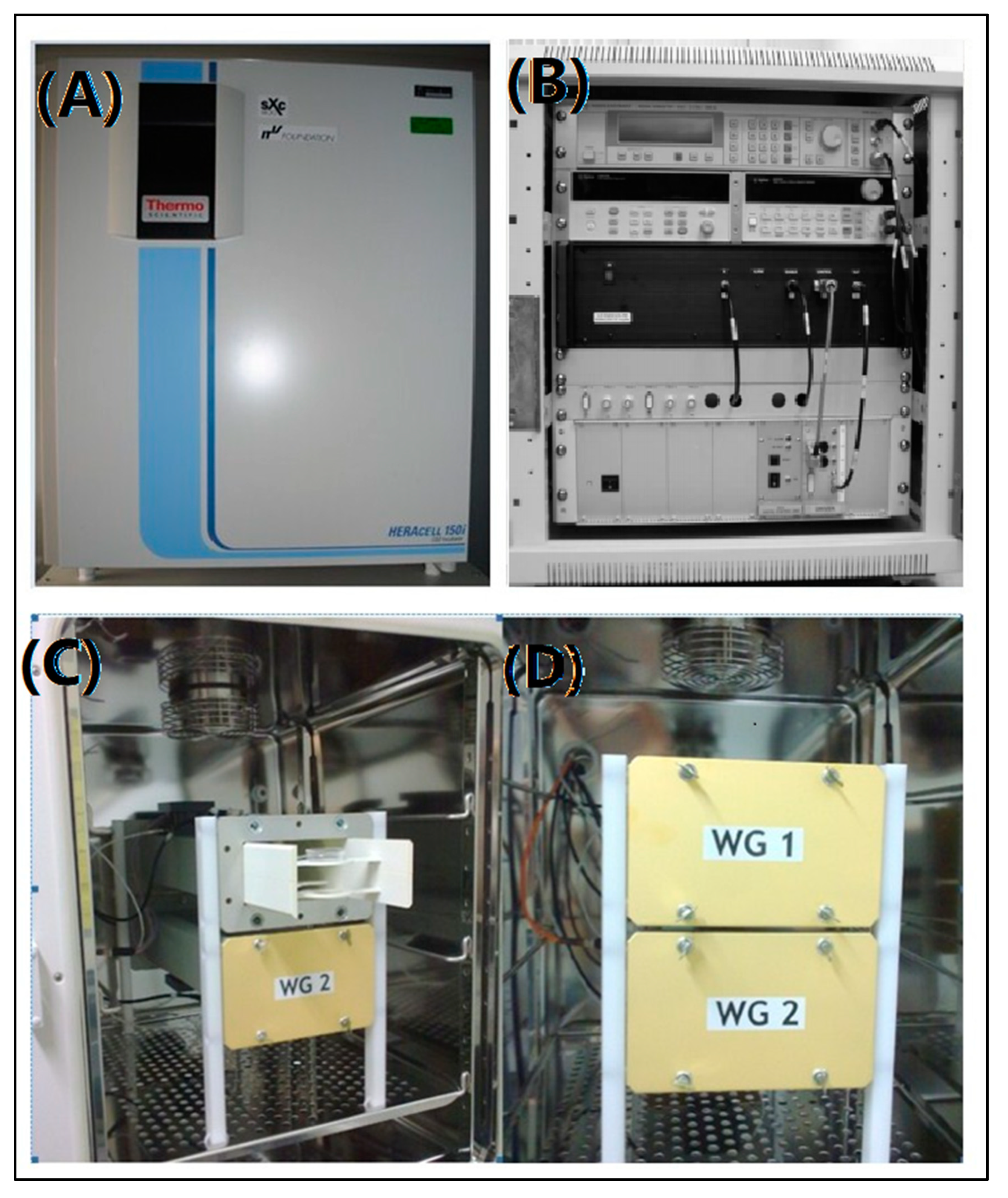 Bioengineering 09 00043 g001