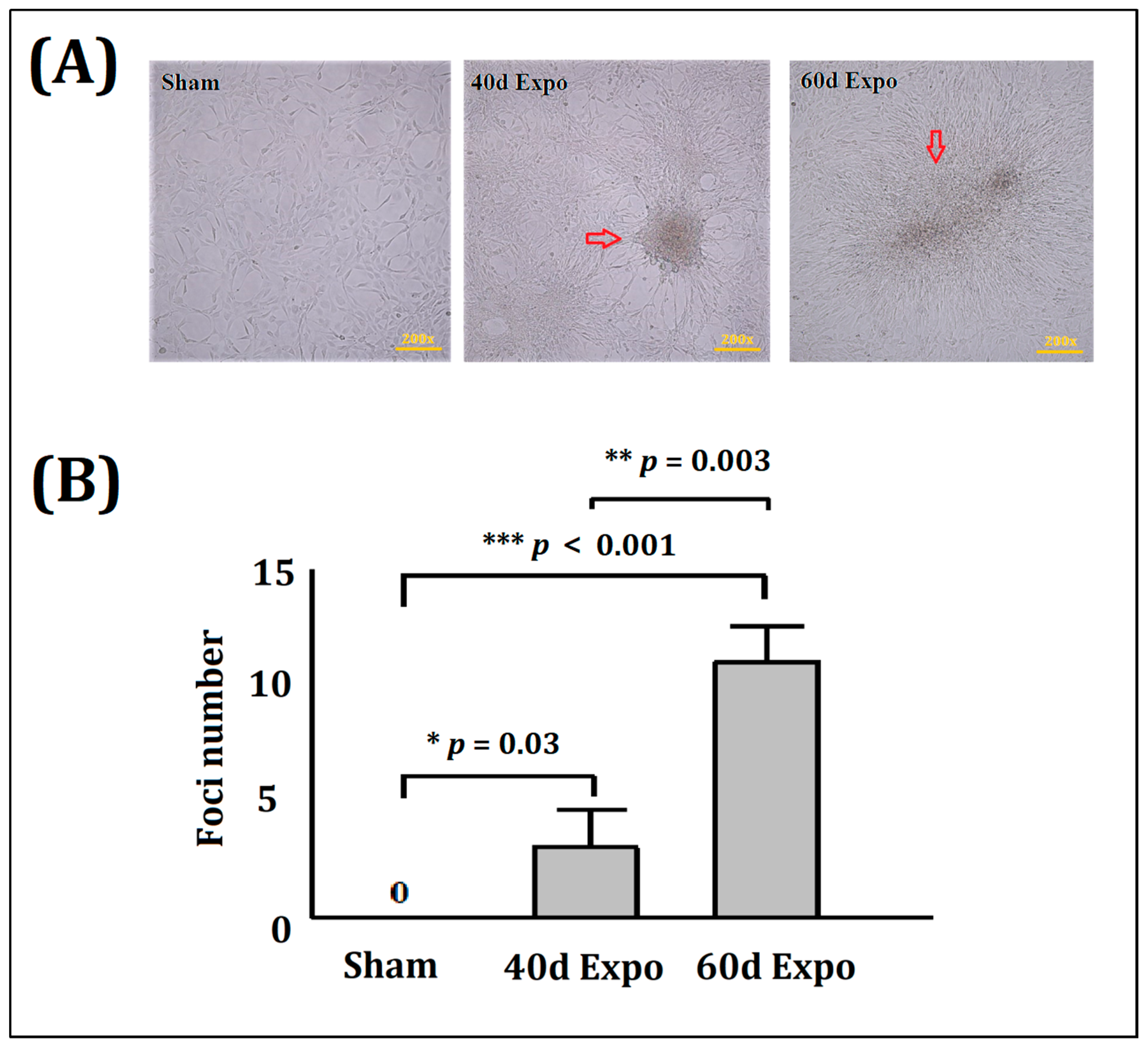 Bioengineering 09 00043 g002