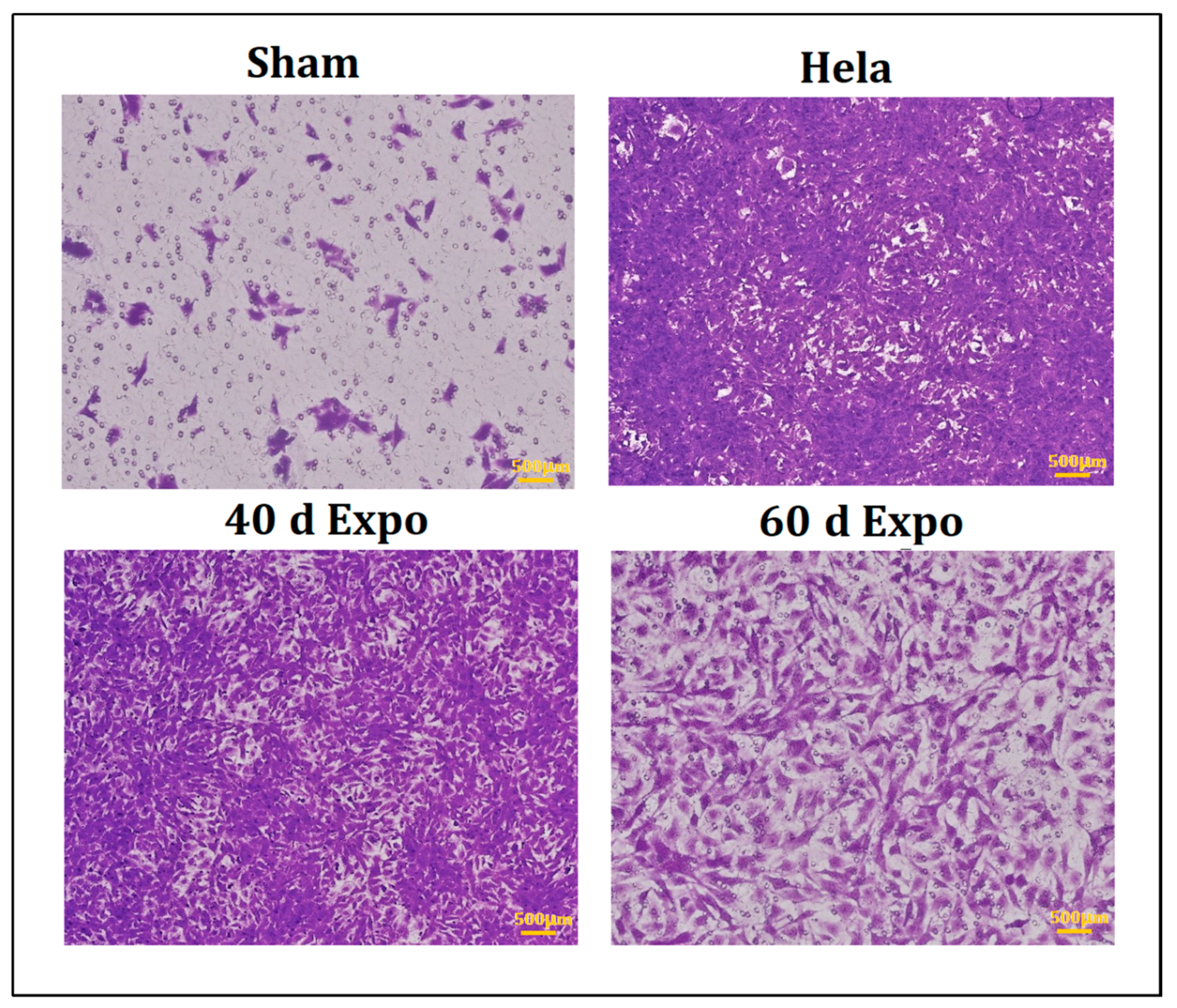 Bioengineering 09 00043 g003