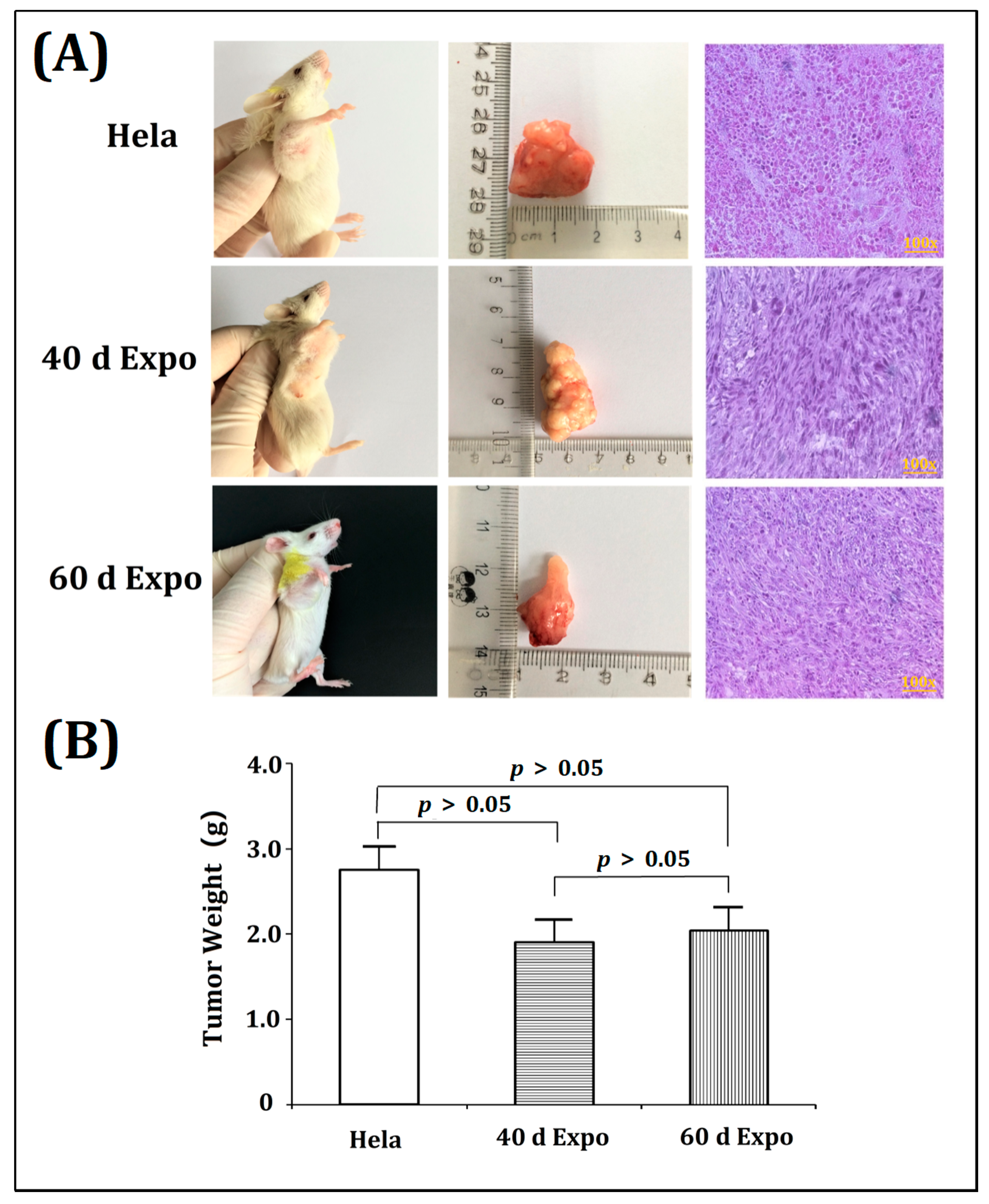 Bioengineering 09 00043 g004