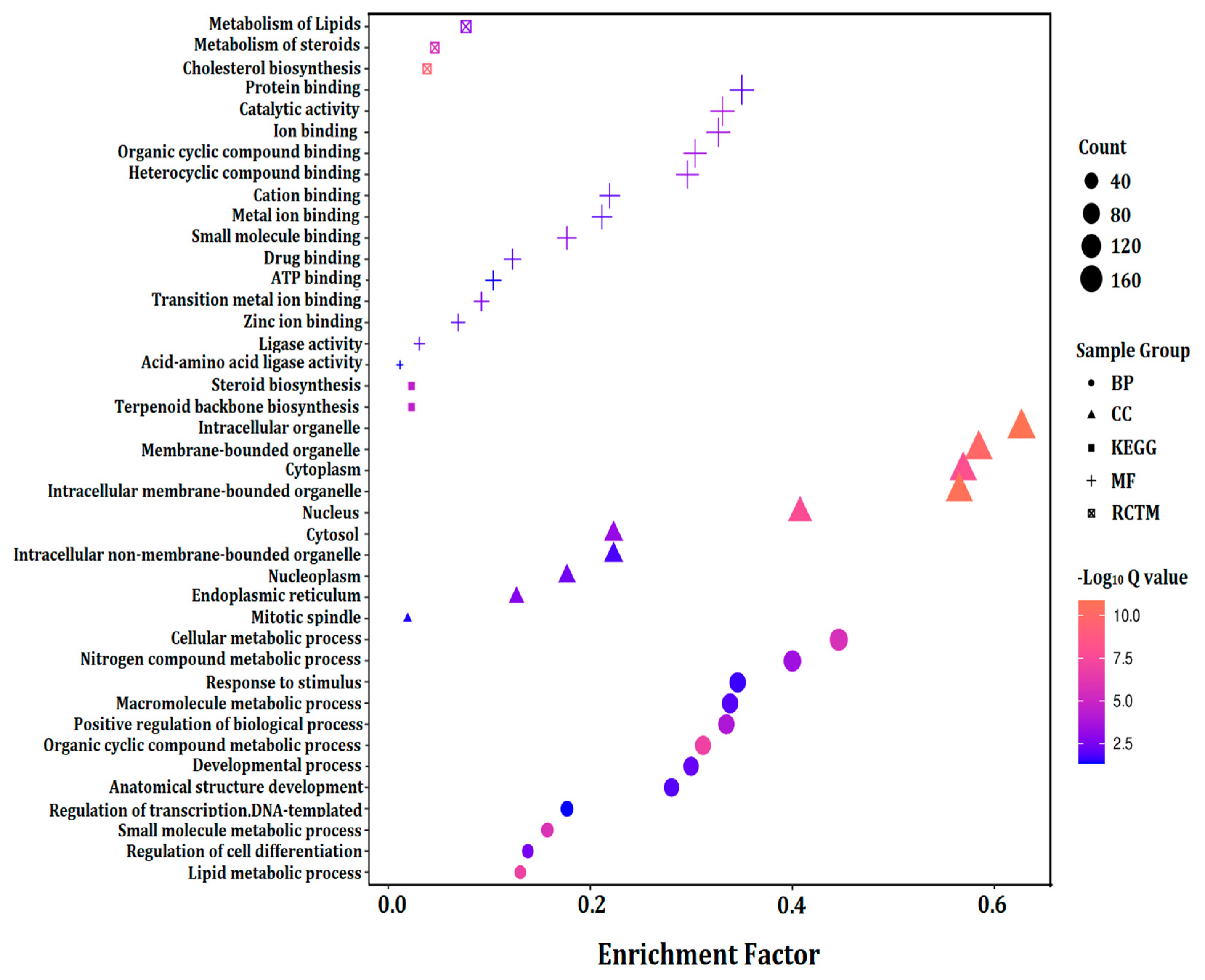 Bioengineering 09 00043 g006