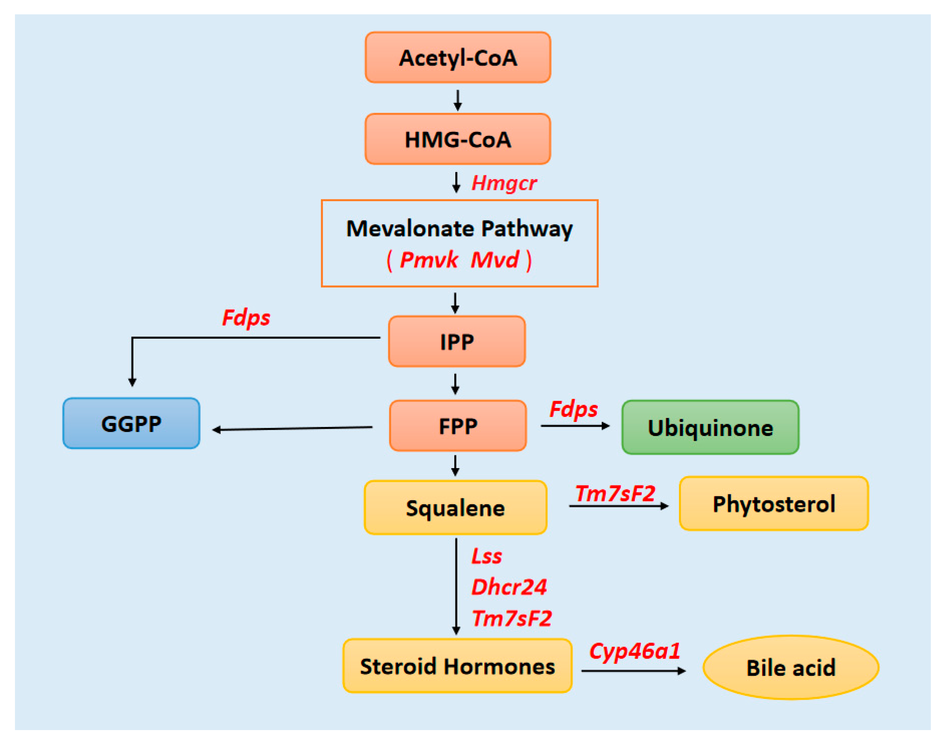 Bioengineering 09 00043 g008