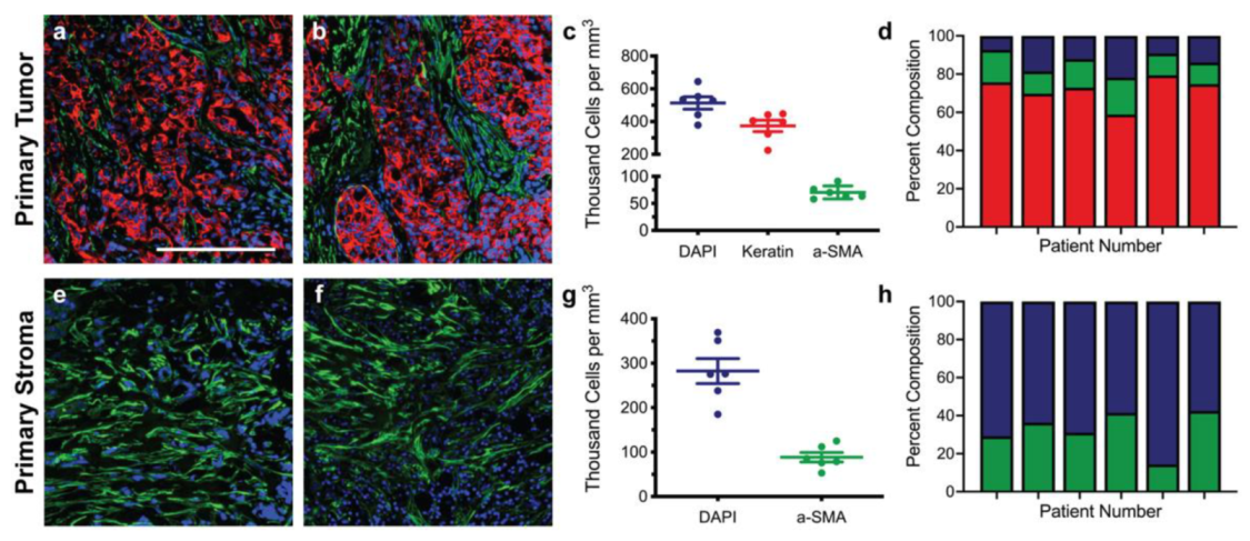 Bioengineering 09 00044 g001 Bioengineering 09 00044 g001