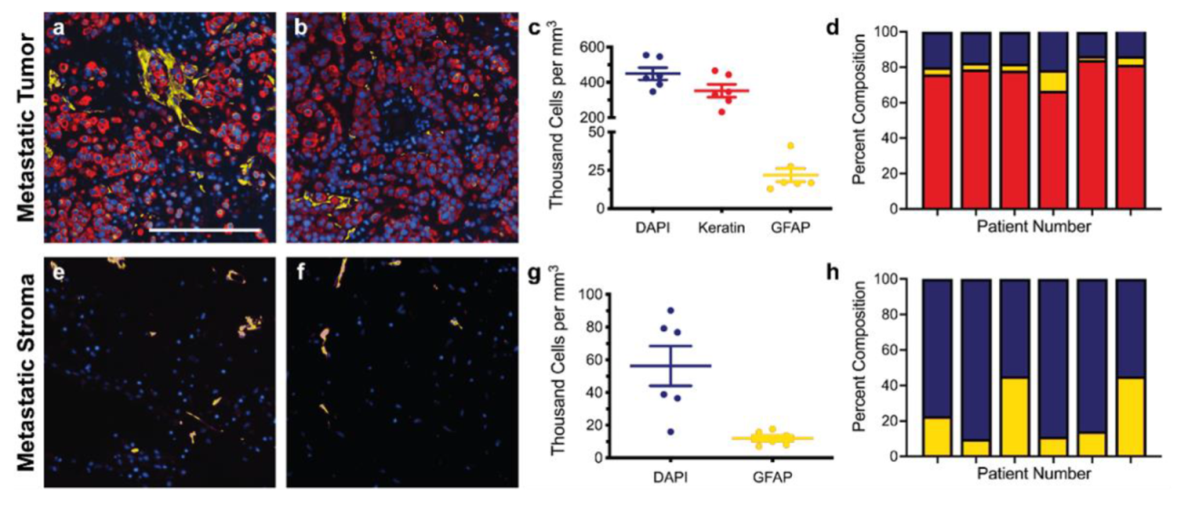 Bioengineering 09 00044 g002 Bioengineering 09 00044 g002