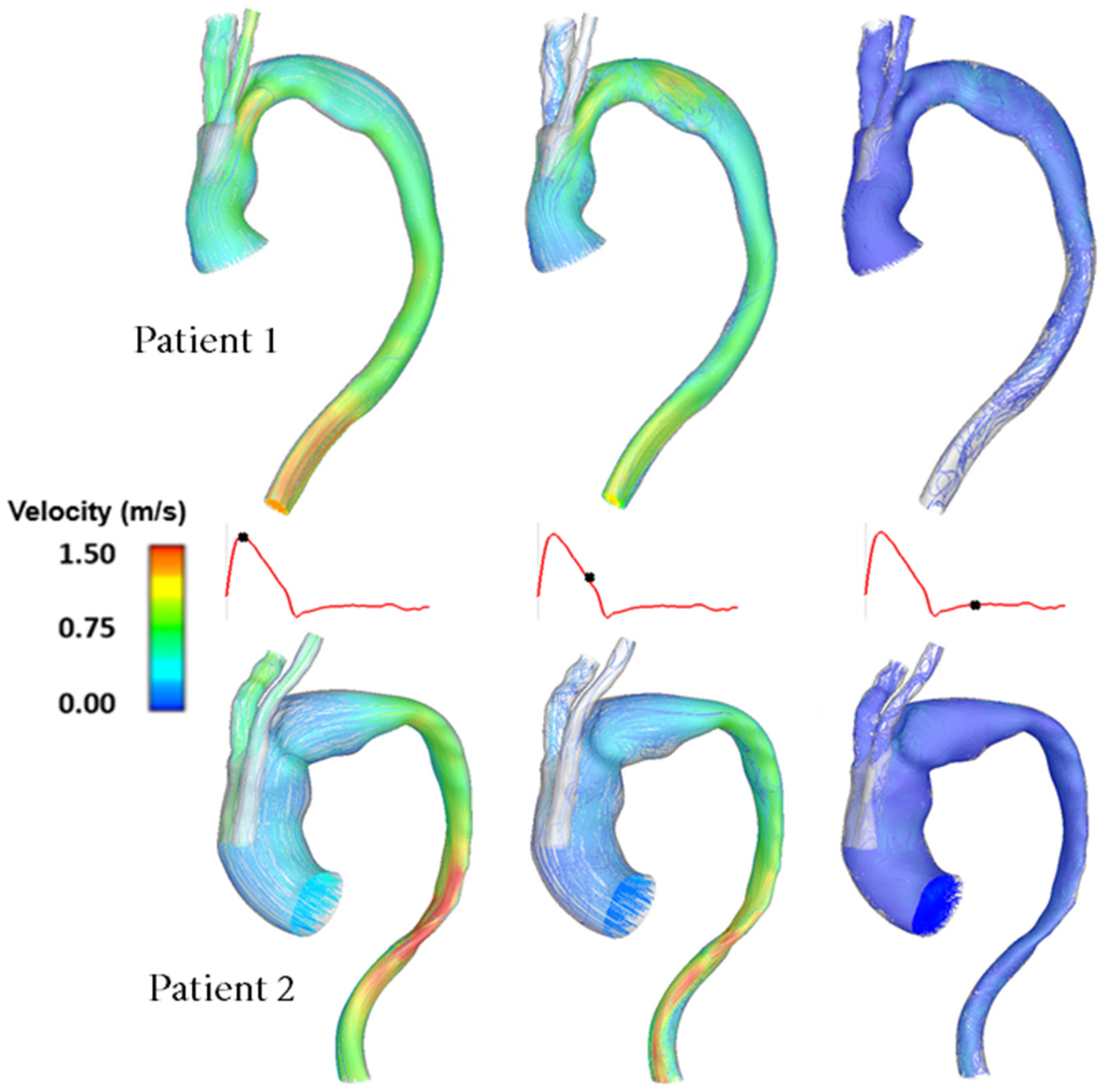 Bioengineering 09 00045 g003 550