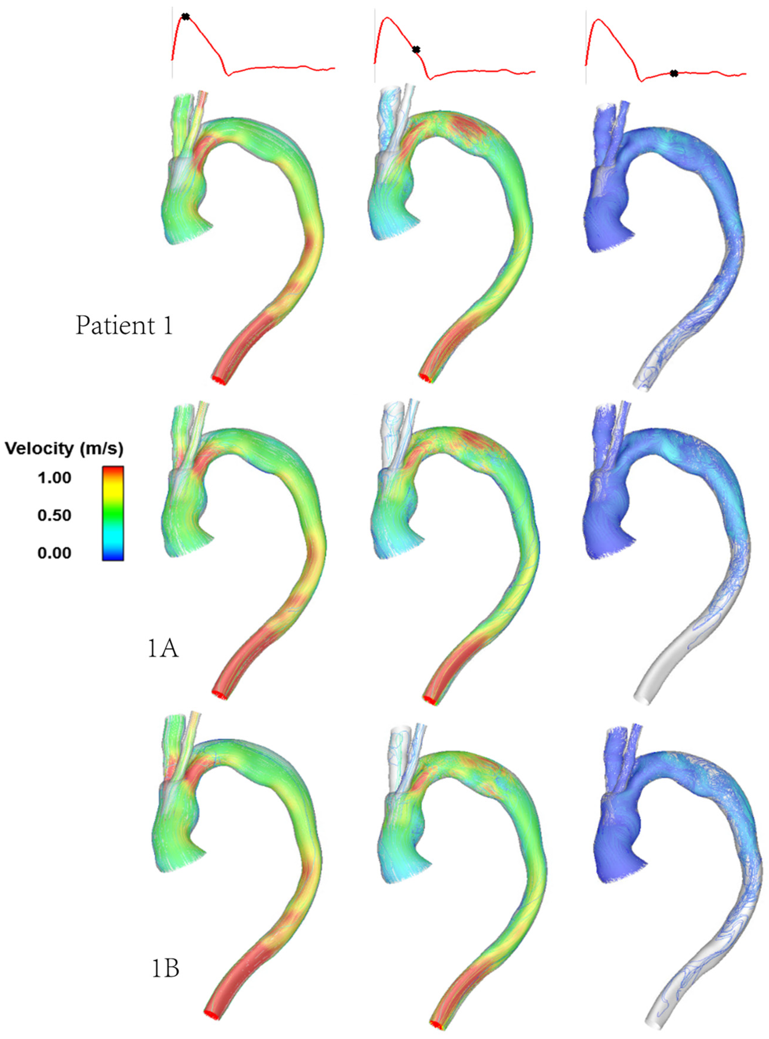 Bioengineering 09 00045 g004 550