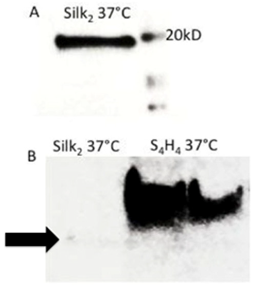Bioengineering 09 00046 g002