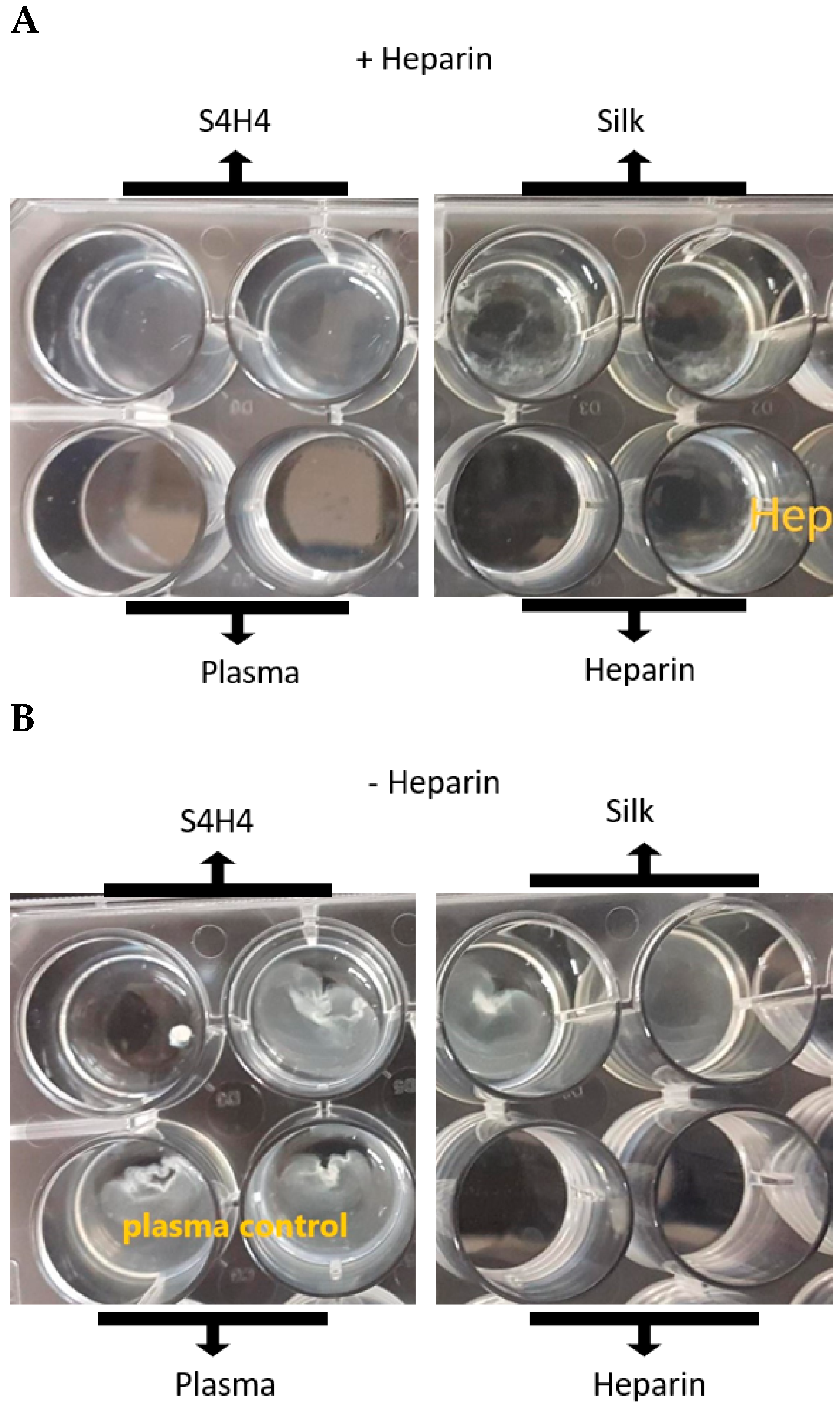 Bioengineering 09 00046 g007