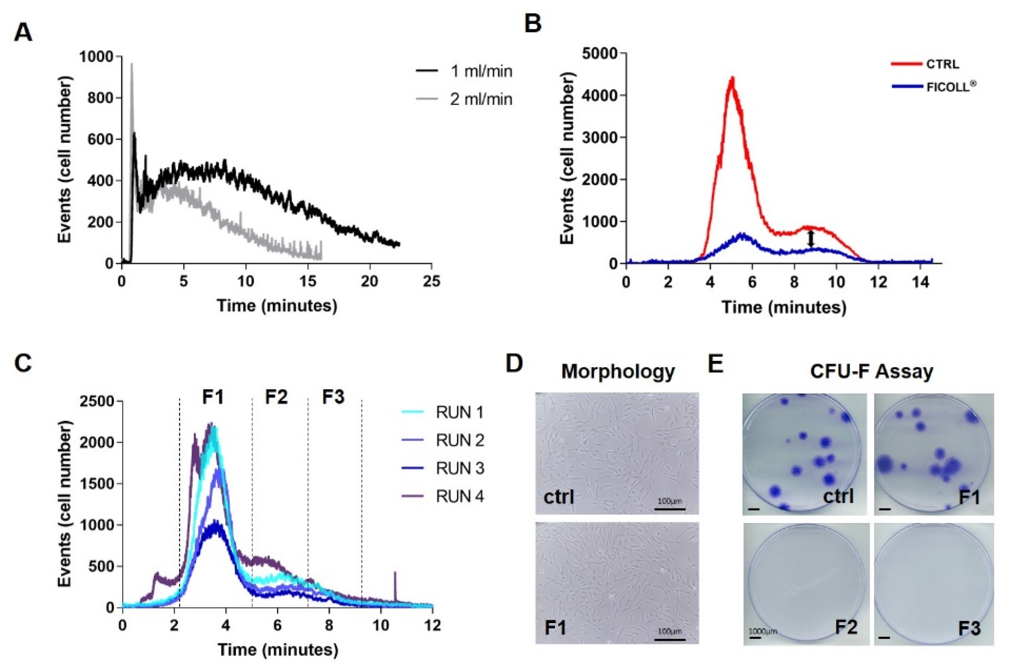 Bioengineering 09 00049 g002