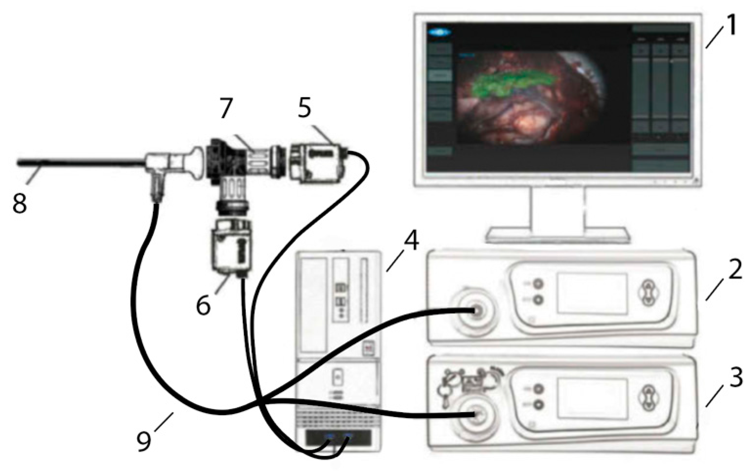 Bioengineering 09 00052 g001 550