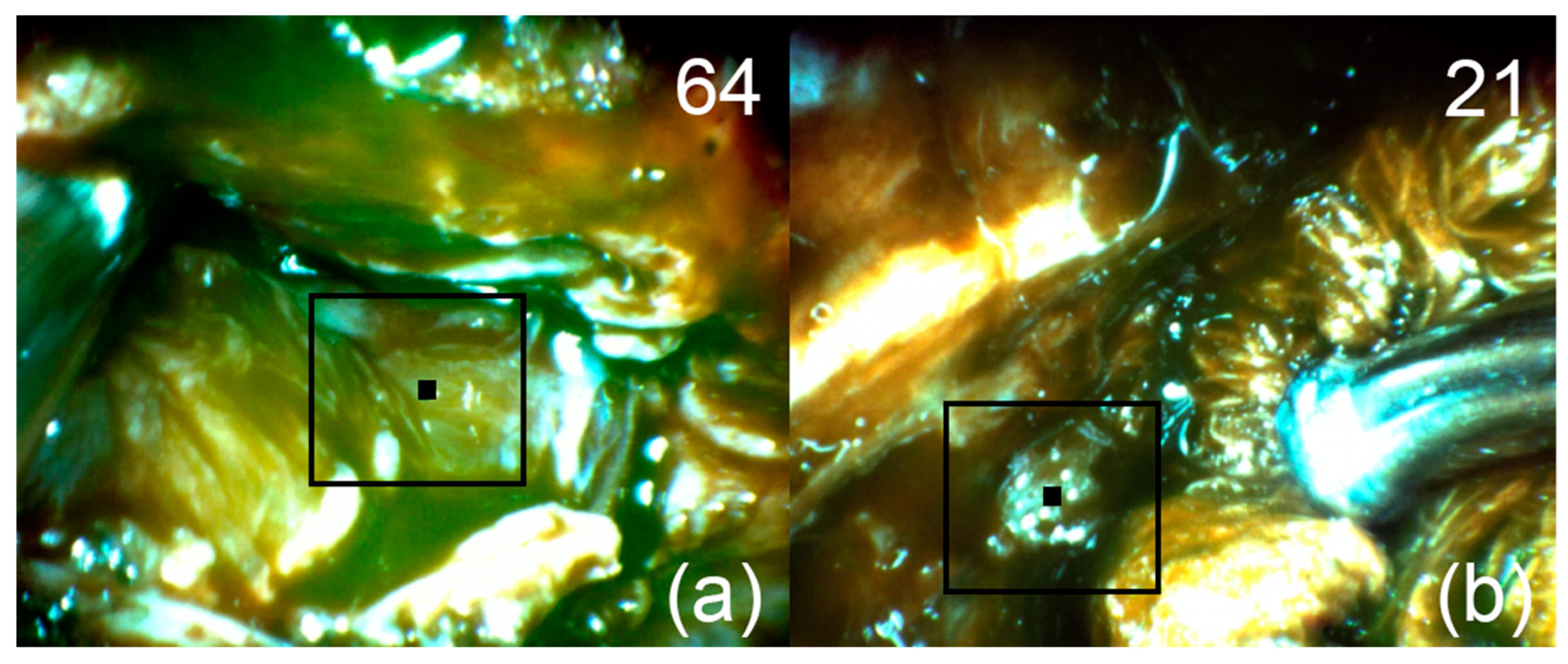 Bioengineering 09 00052 g006 550