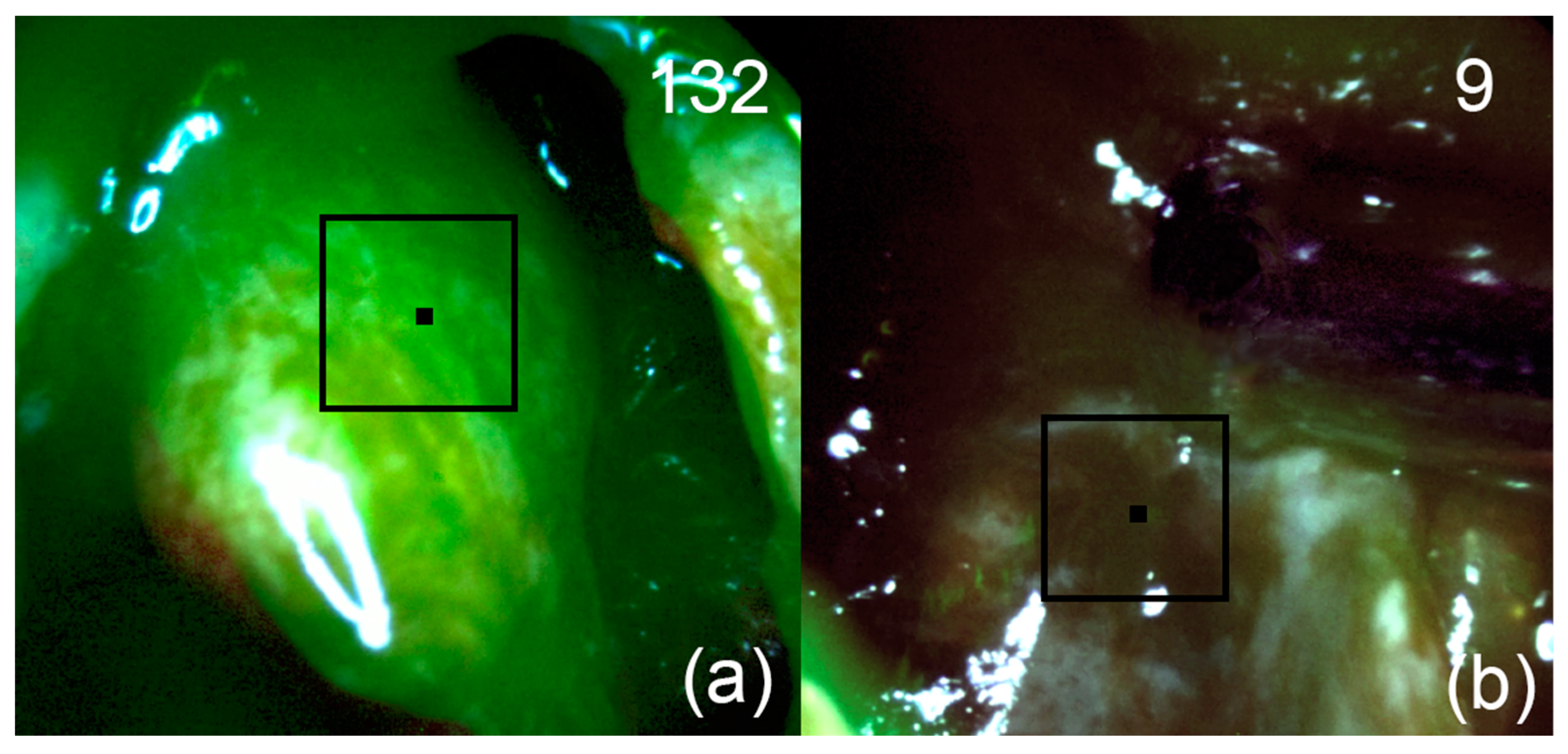 Bioengineering 09 00052 g007 550