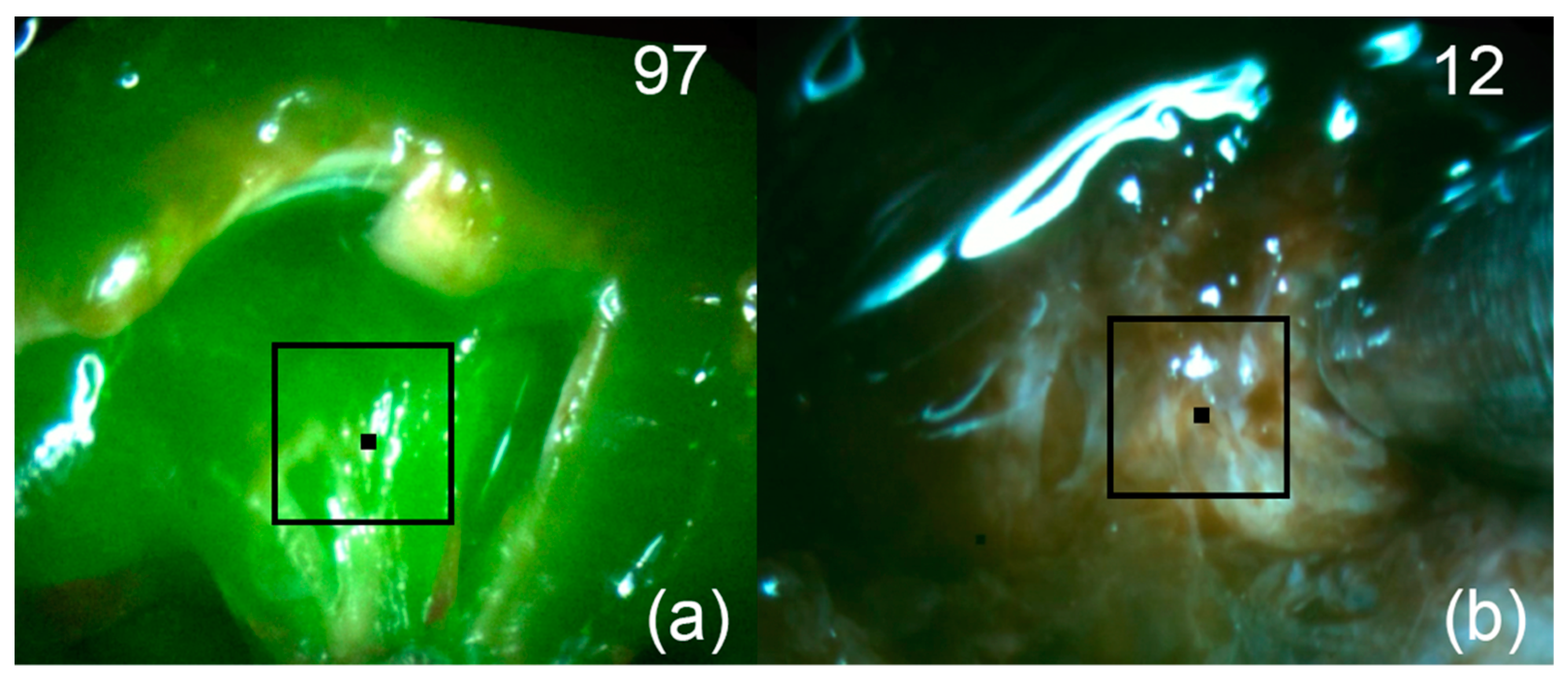 Bioengineering 09 00052 g008 550