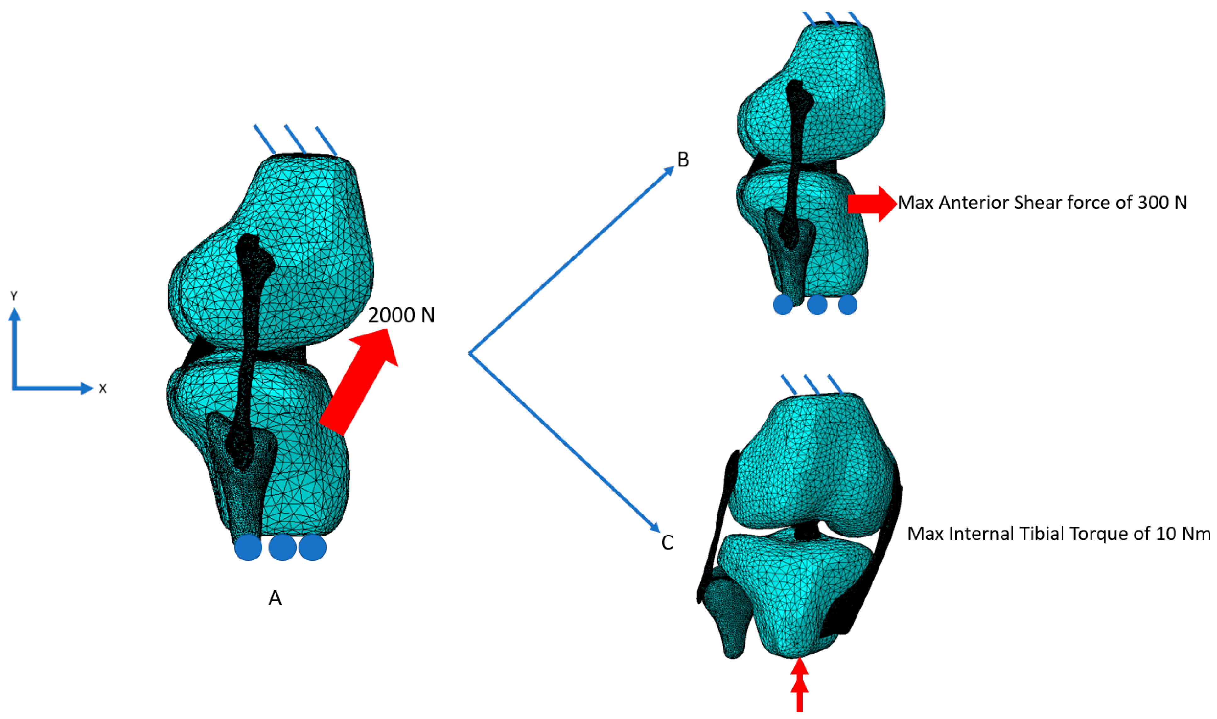 Bioengineering 09 00054 g001 550