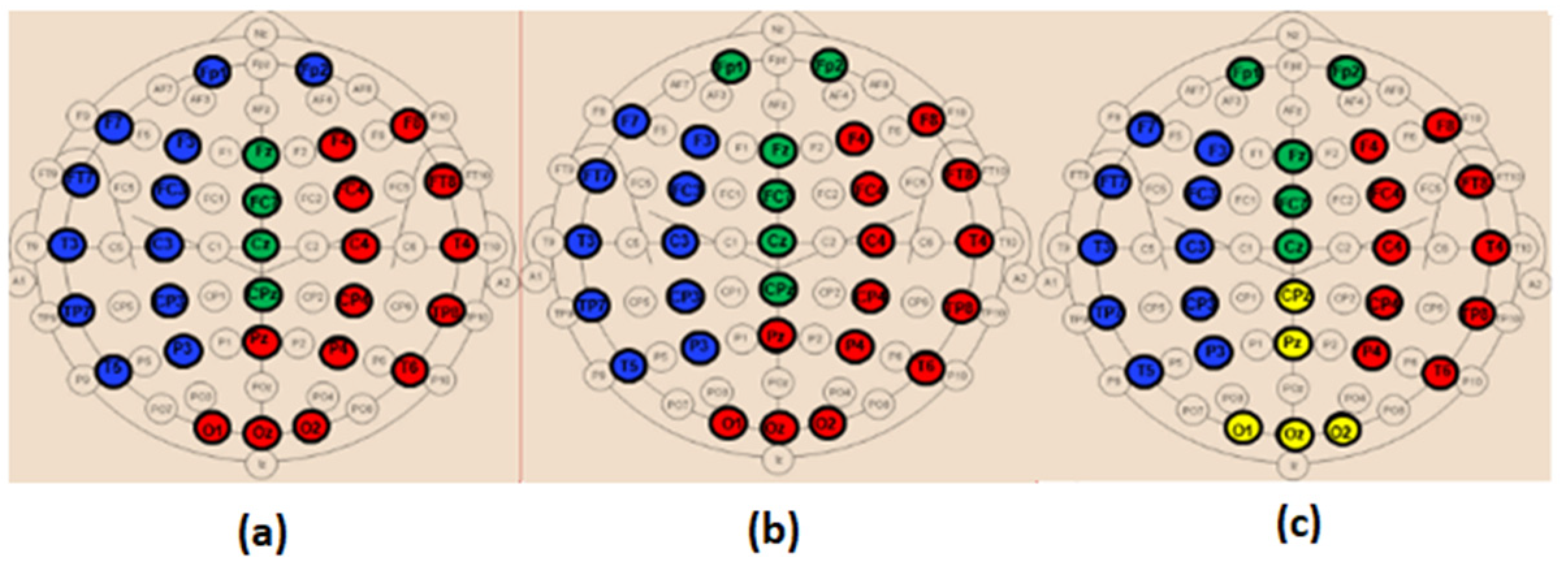 Bioengineering 09 00062 g014 550
