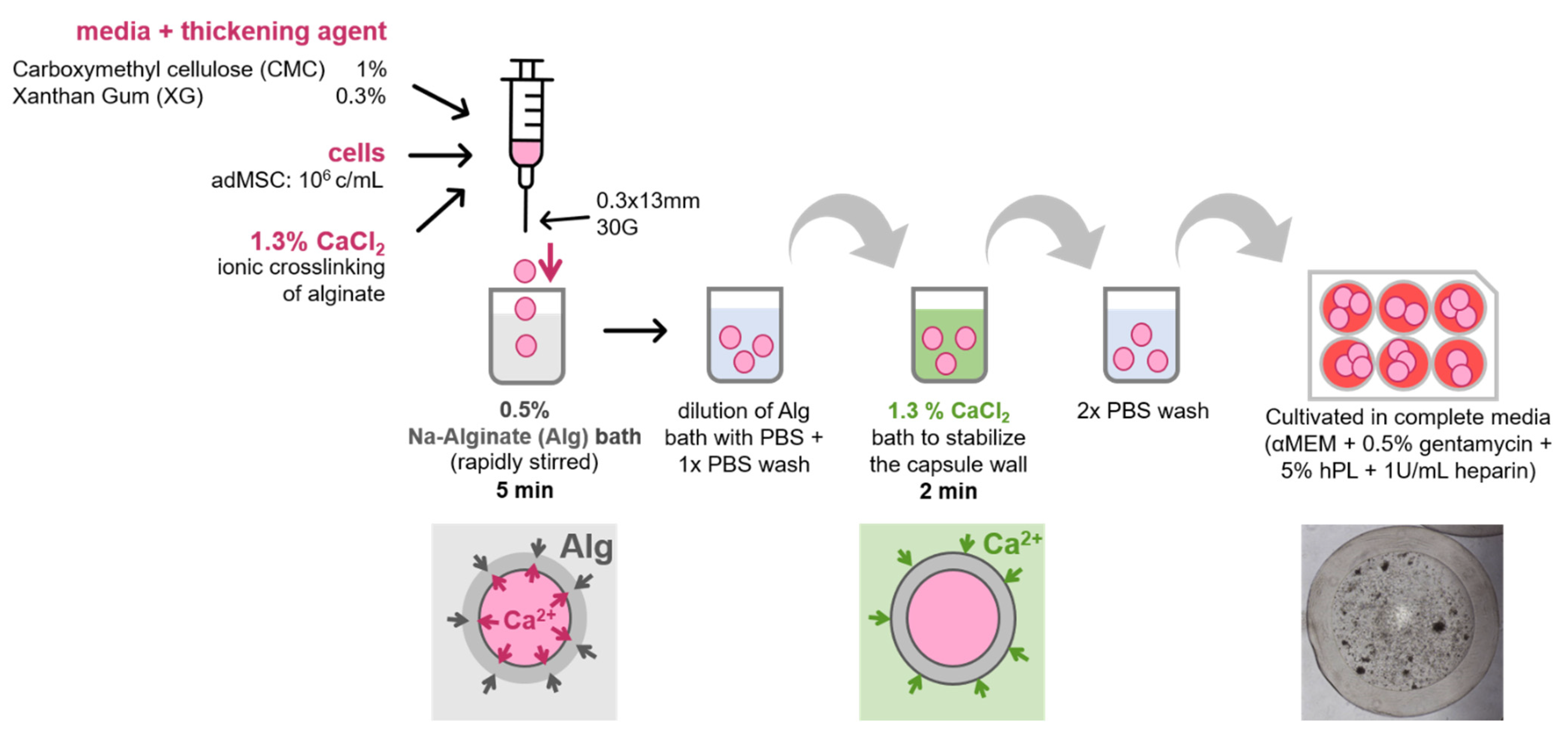 Bioengineering 09 00066 g002 550