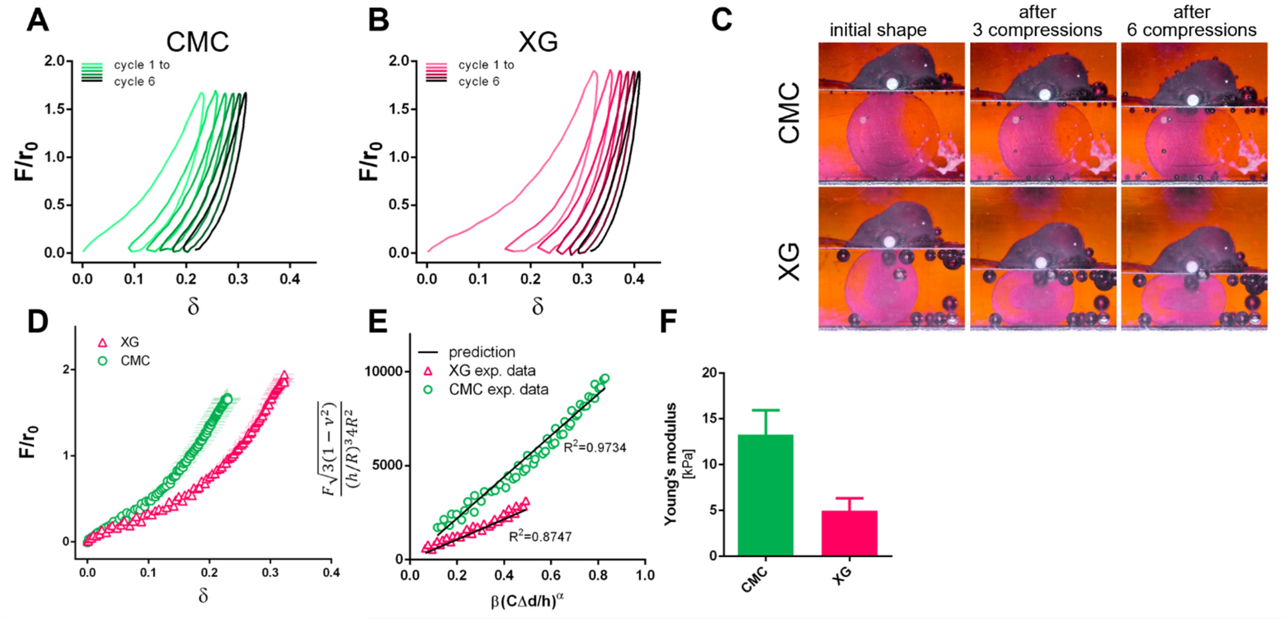 Bioengineering 09 00066 g004 550