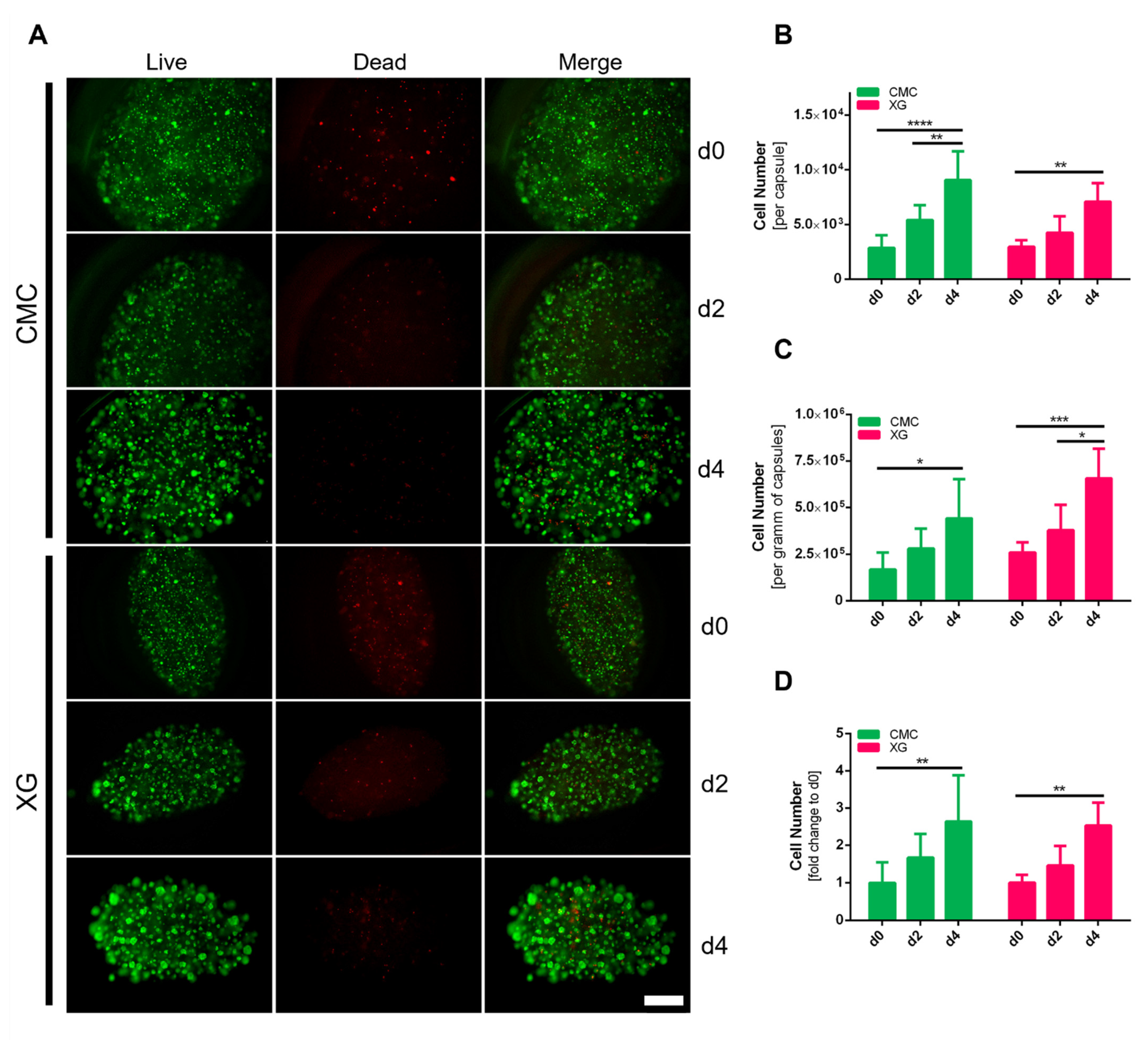 Bioengineering 09 00066 g007 550
