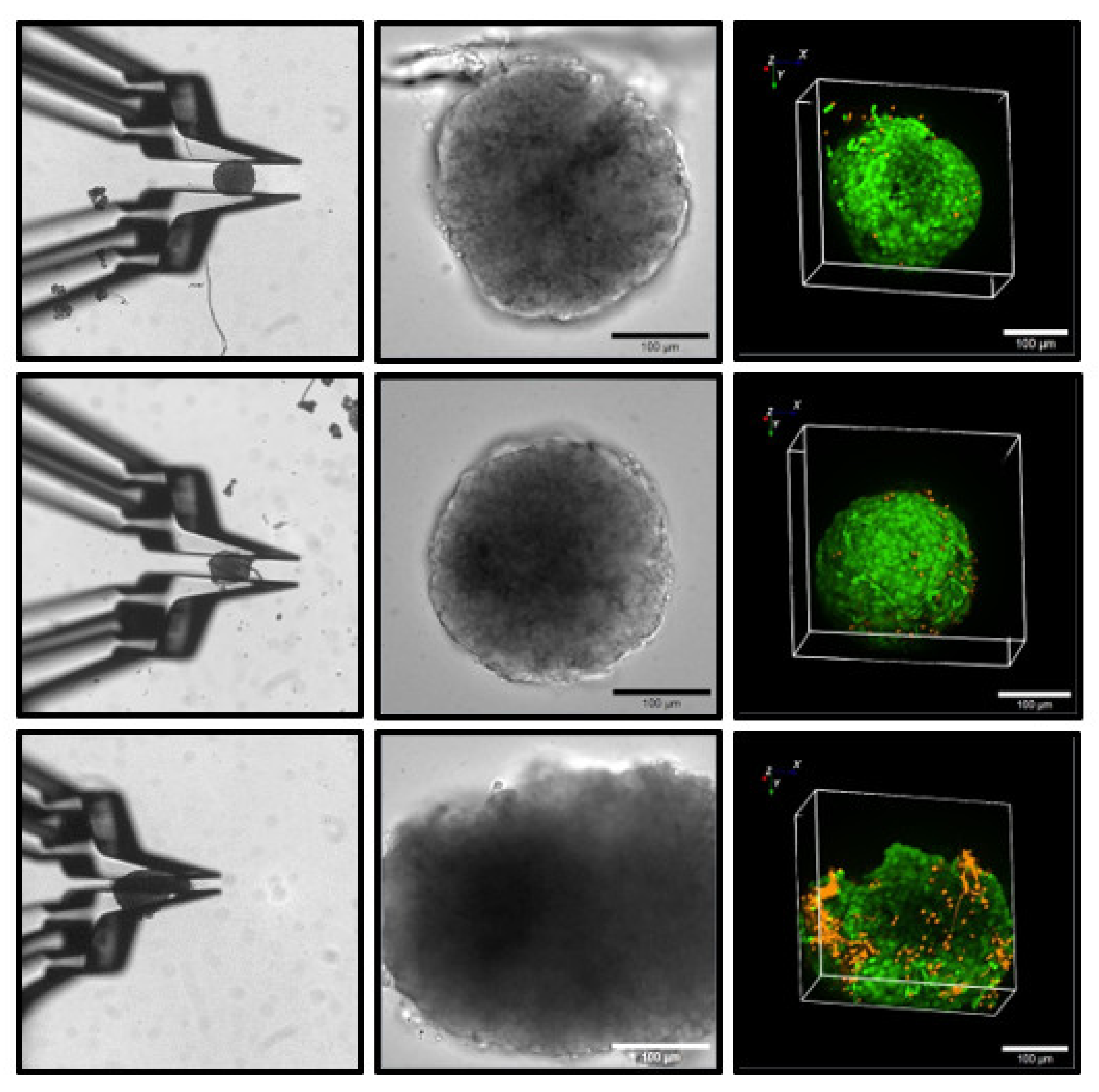 Bioengineering 09 00067 g004 550