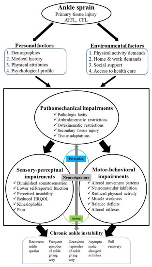 Ankle supination trauma